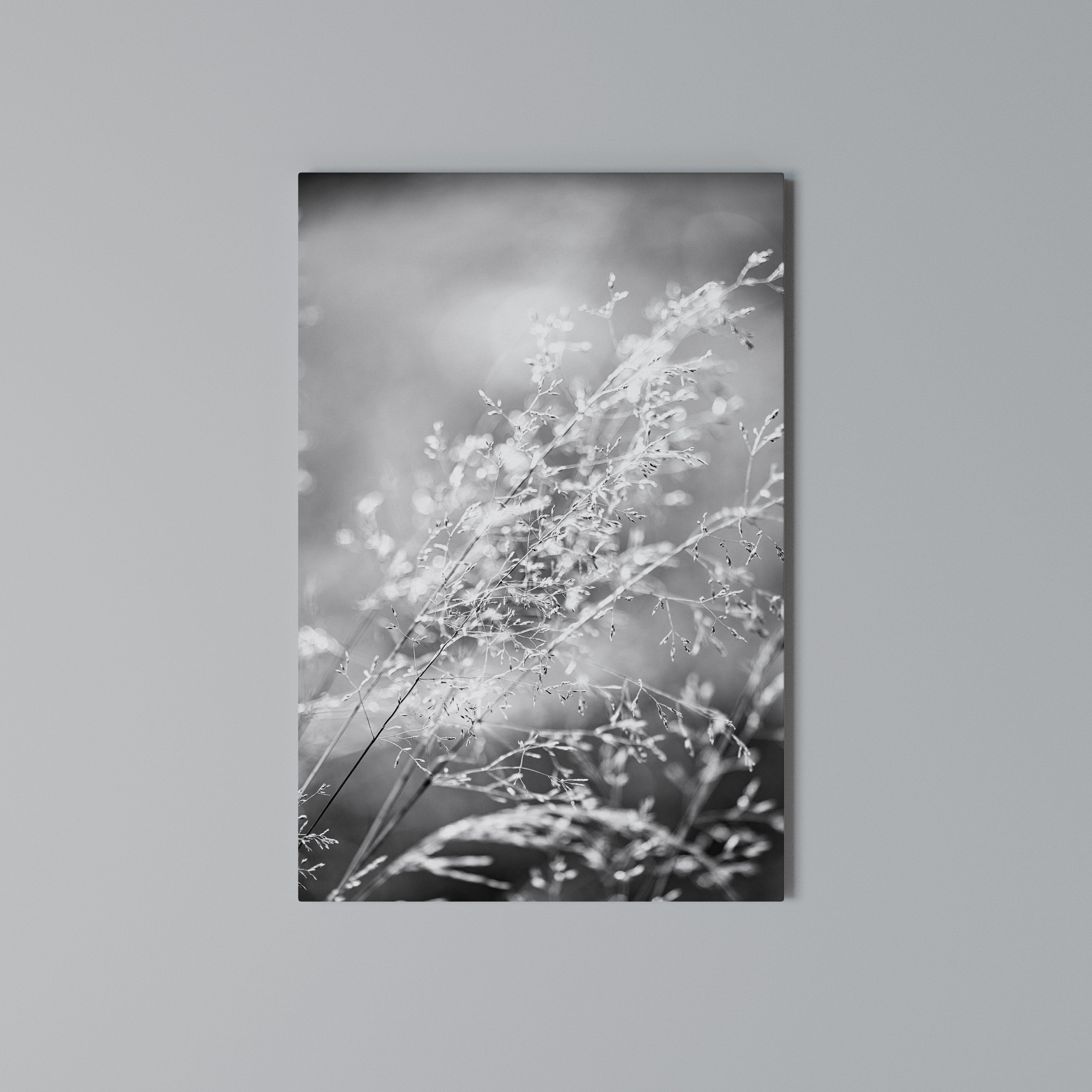 LIGHTSWEPT HARMONY Quadro em tela vertical