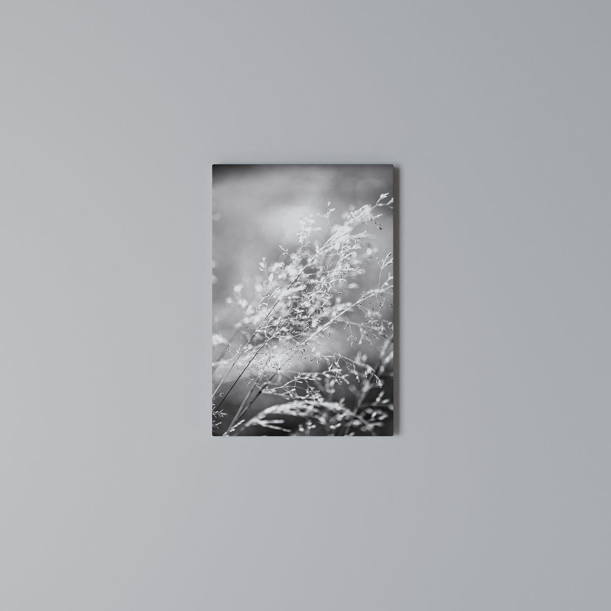 LIGHTSWEPT HARMONY Vertical Canvas Print