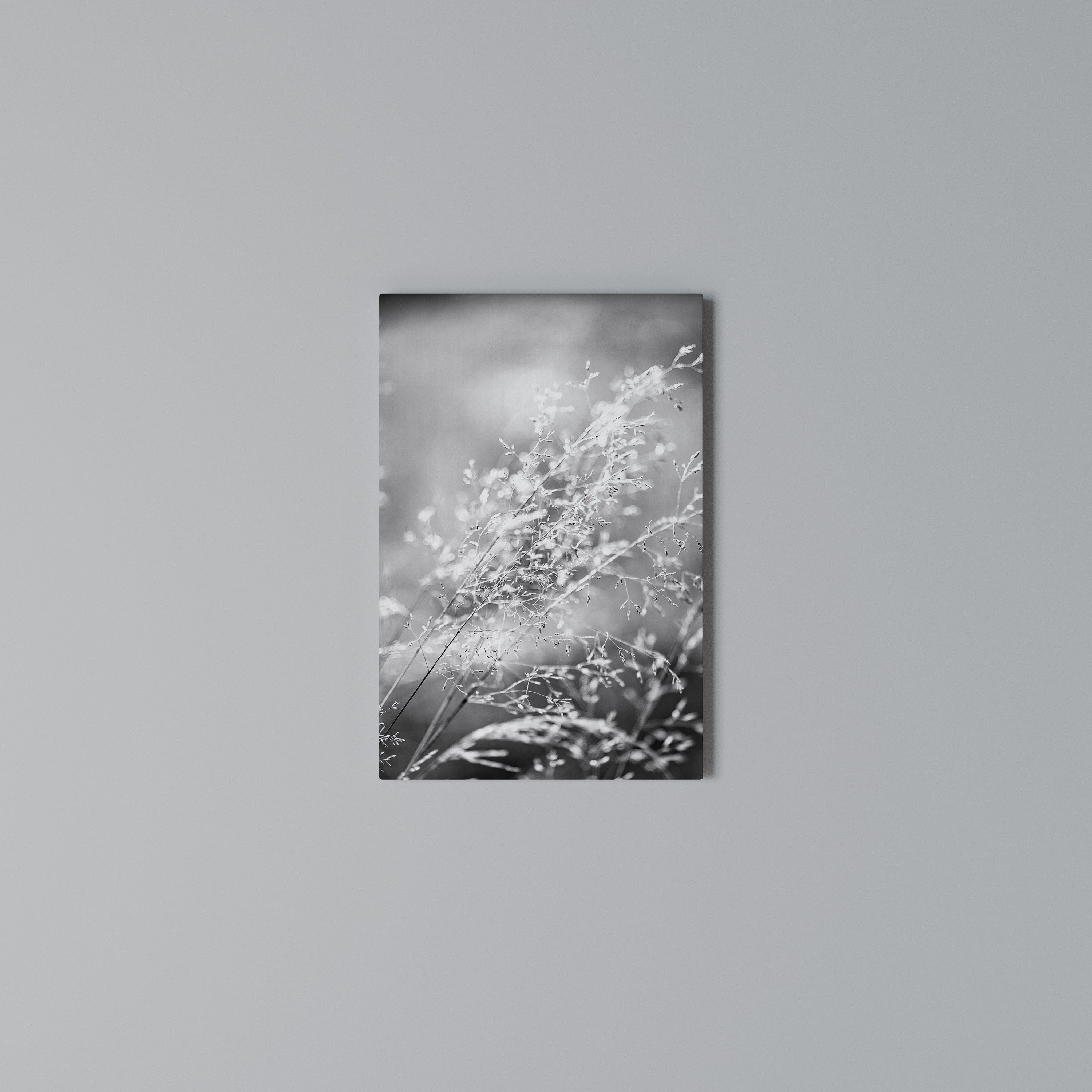 LIGHTSWEPT HARMONY Quadro em tela vertical