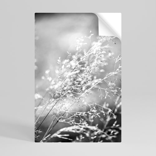 LIGHTSWEPT HARMONY Póster Autocolante Vertical