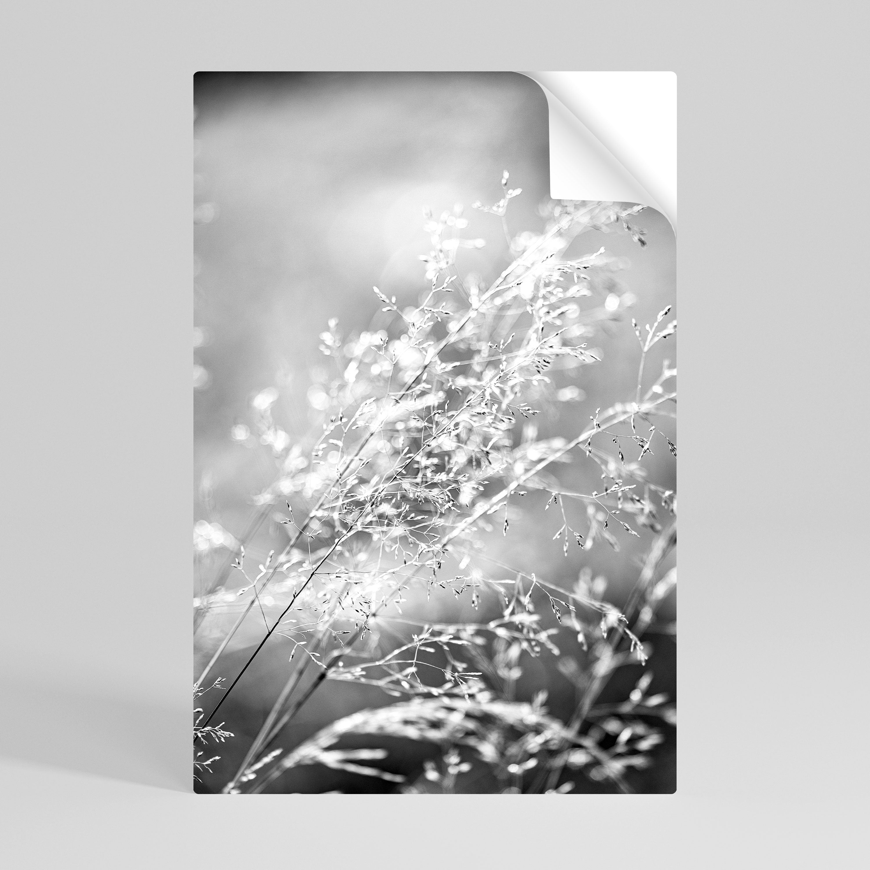 LIGHTSWEPT HARMONY Póster Autocolante Vertical