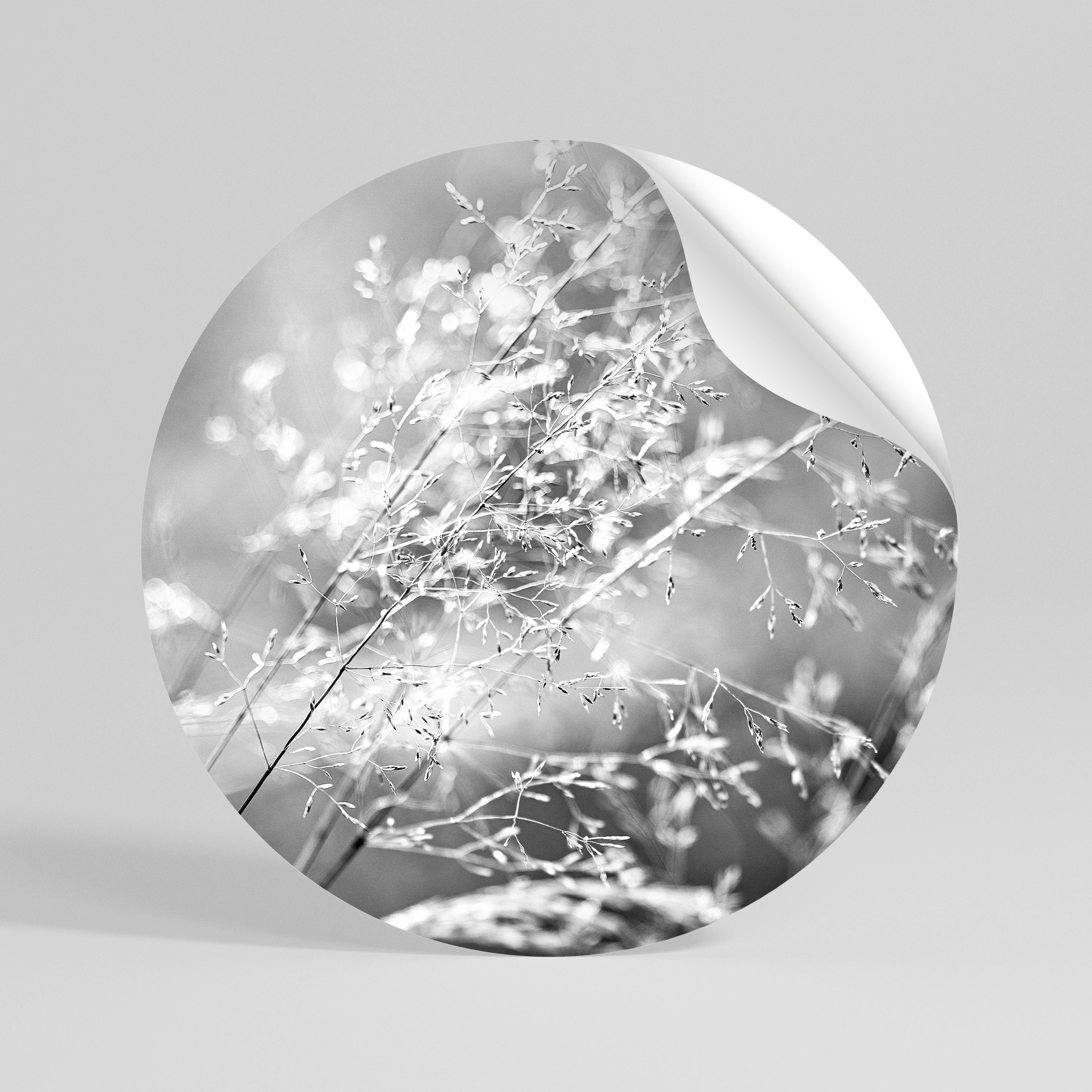 LIGHTSWEPT HARMONY - Autocolante Redondo Removível