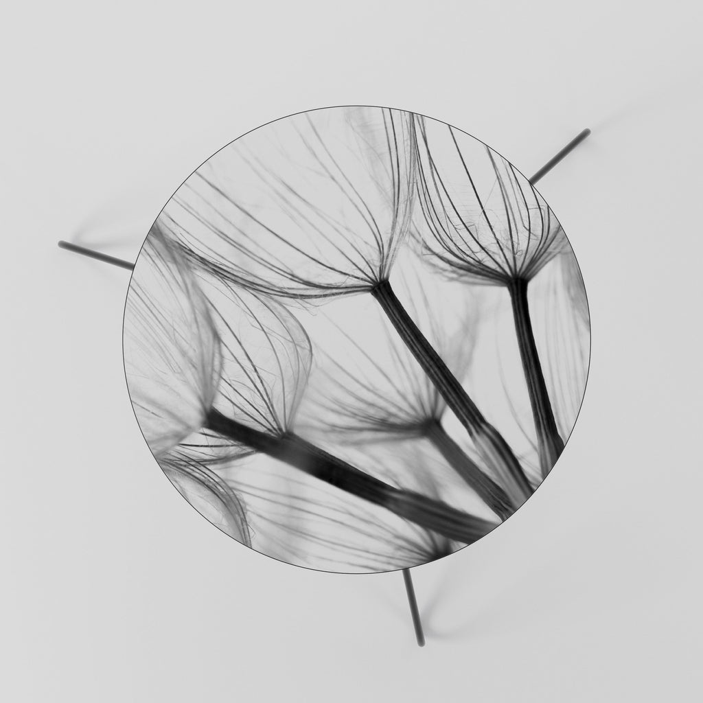 SILKEN FLIGHT Mesa de Centro 60