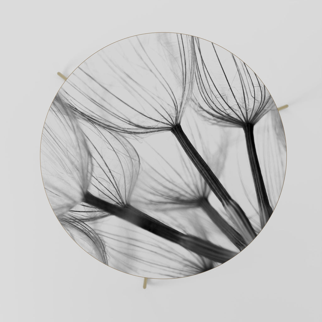 SILKEN FLIGHT Coffee Table 69