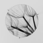 SILKEN FLIGHT Coffee Table 69