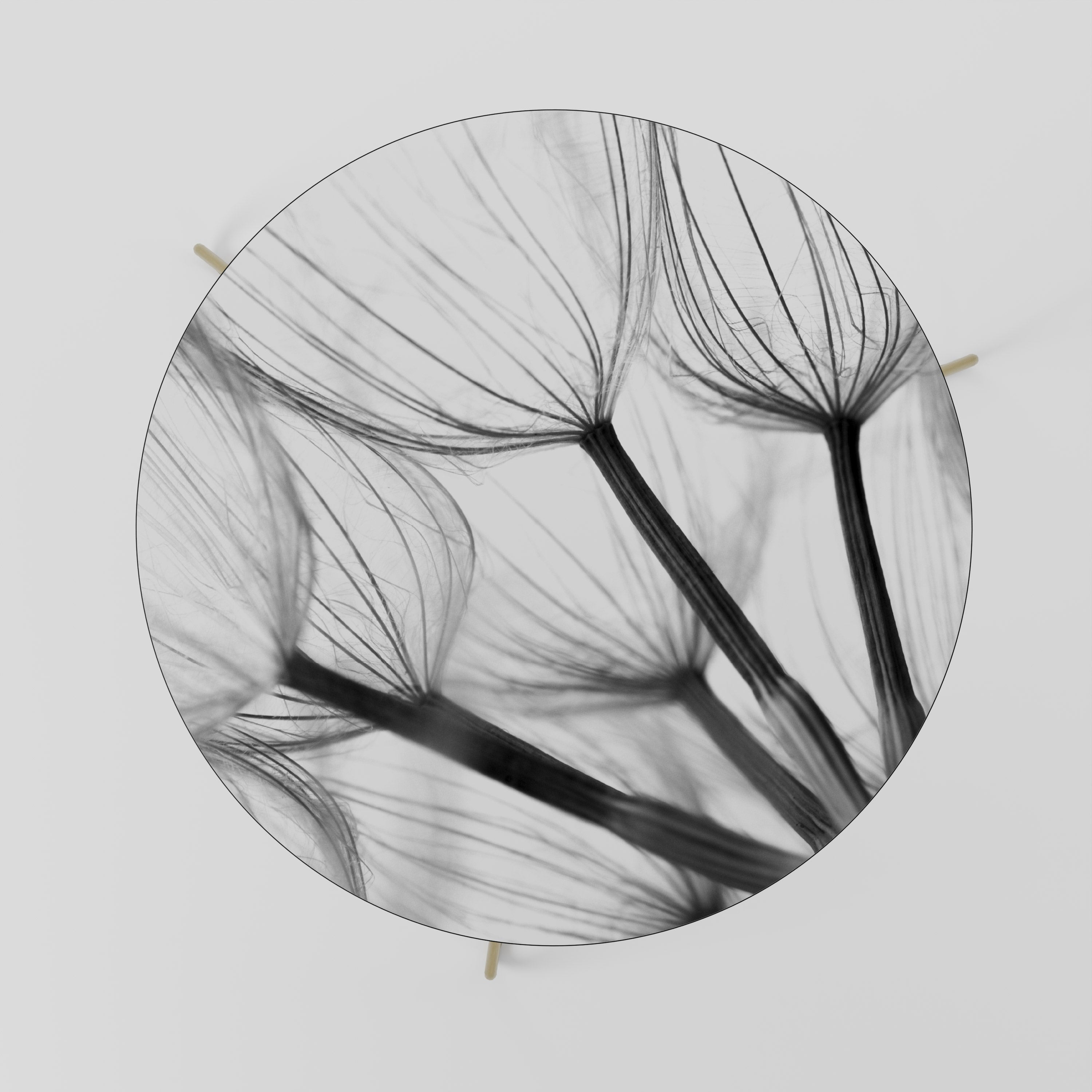 SILKEN FLIGHT Coffee Table 69