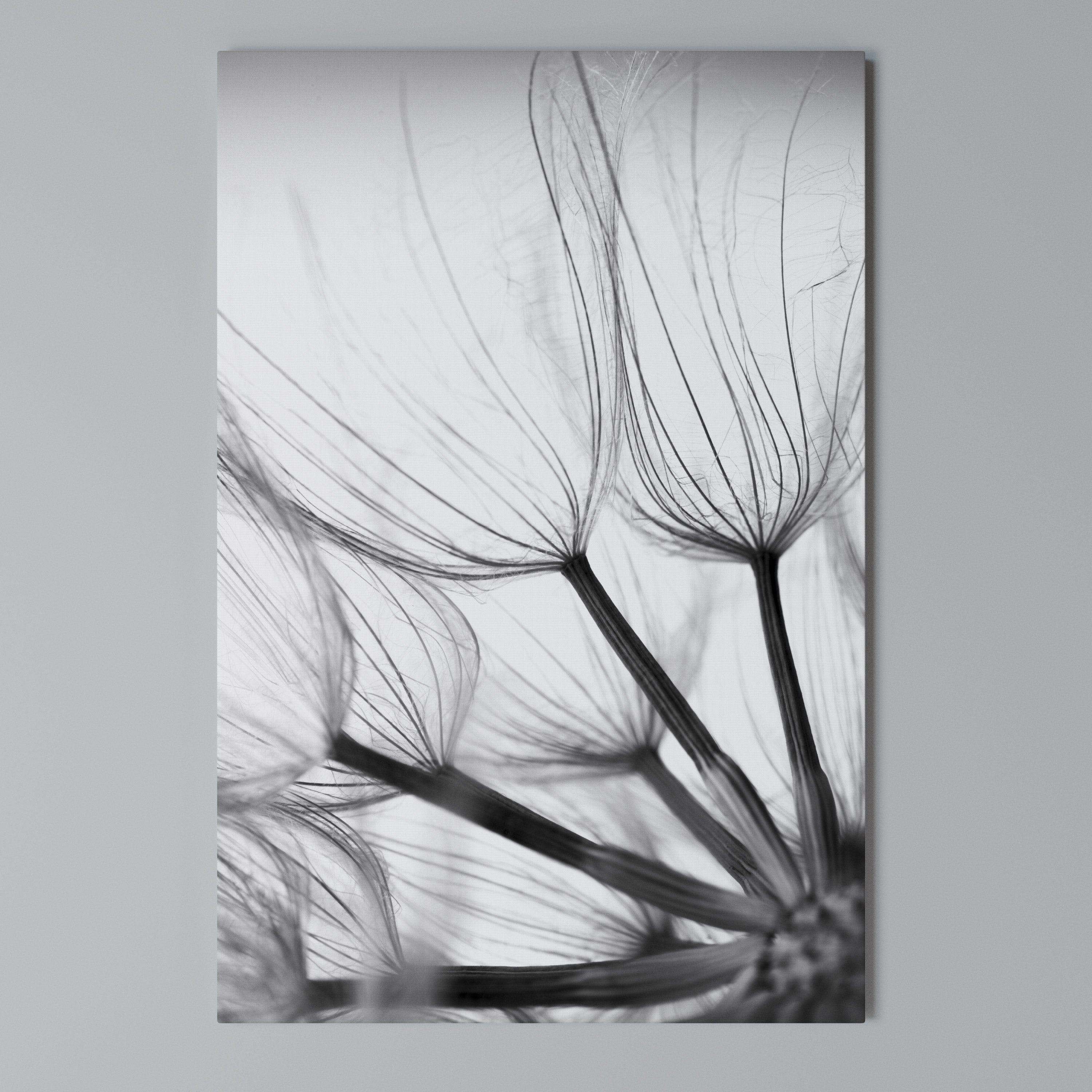 SILKEN FLIGHT Quadro em tela vertical