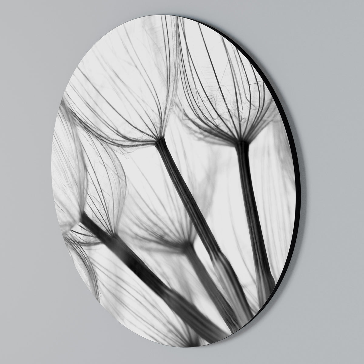 SILKEN FLIGHT Arte de Parede Redonda