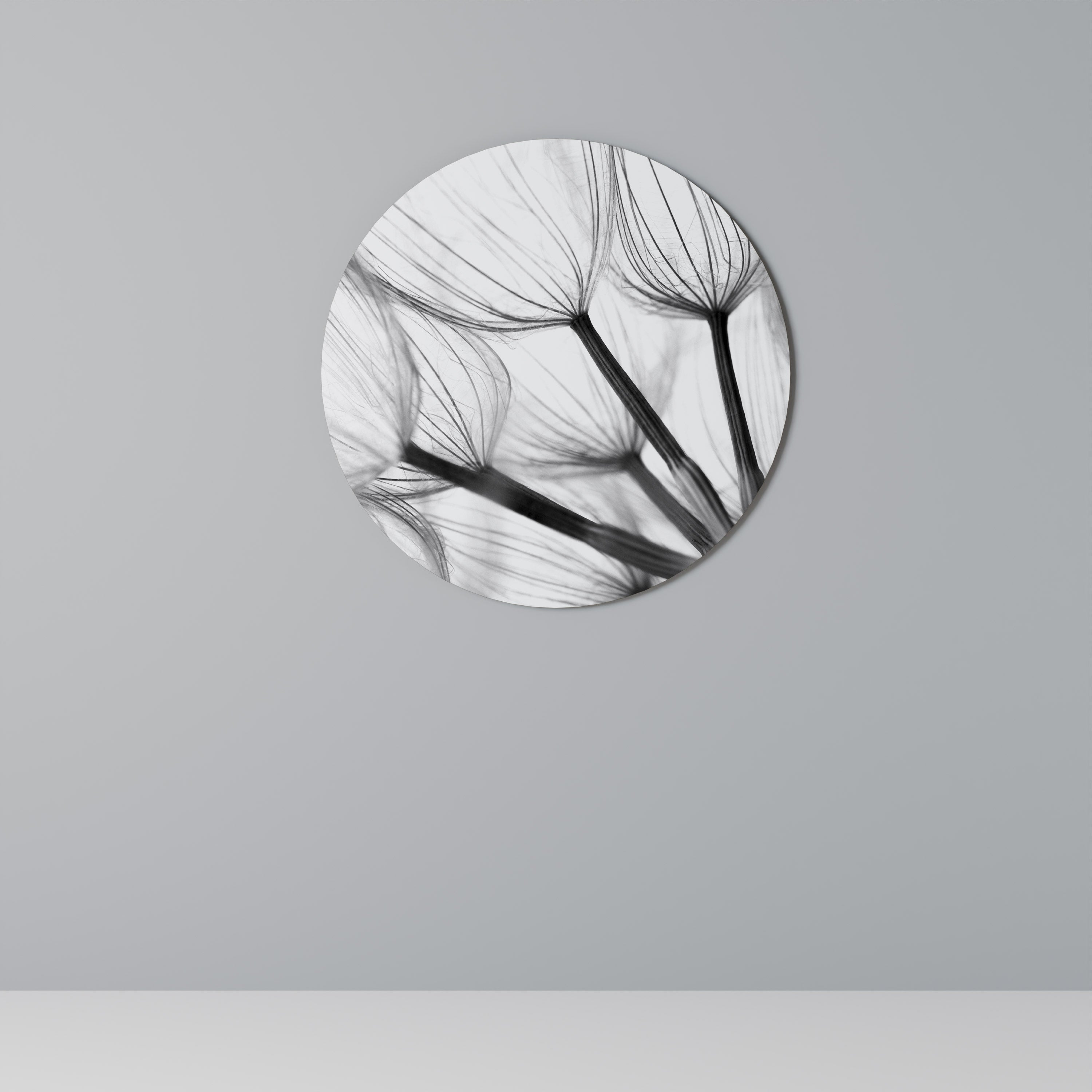 SILKEN FLIGHT Quadro Redondo Decorativo