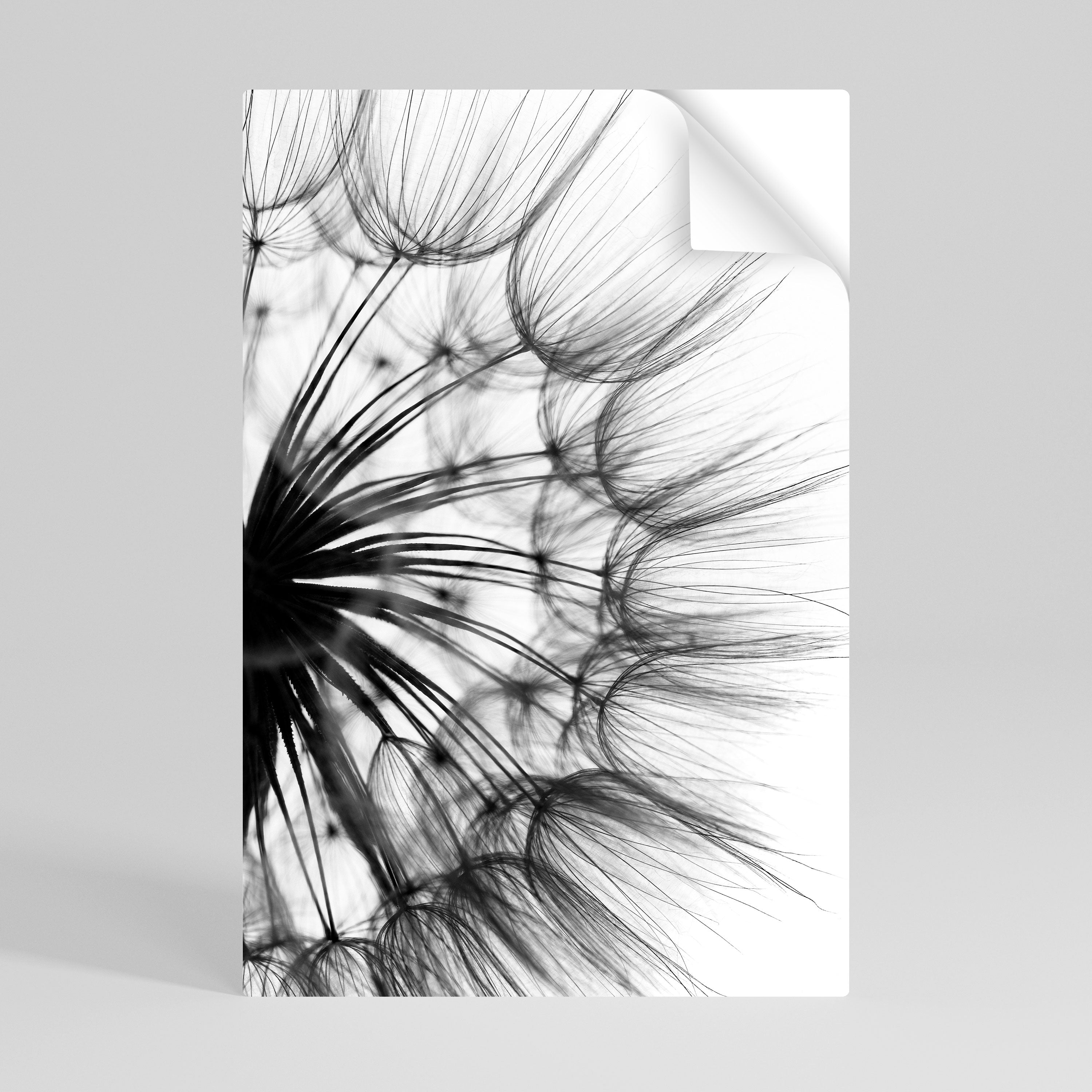 WHISPERING WILDFLOWER Póster Autocolante Vertical