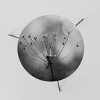 MINIMALIST BLOOM Mesa de Centro 60