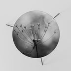 MINIMALIST BLOOM Mesa de Centro 60