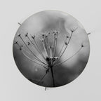 MINIMALIST BLOOM Coffee Table 69