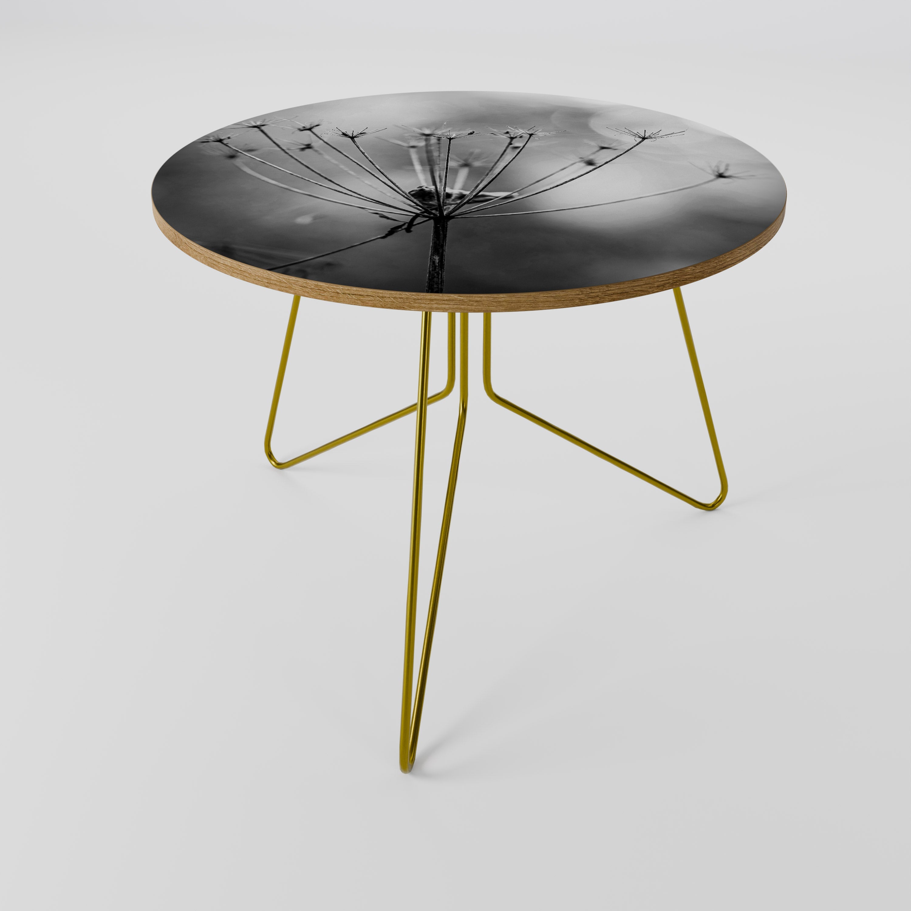 MINIMALIST BLOOM Coffee Table 69