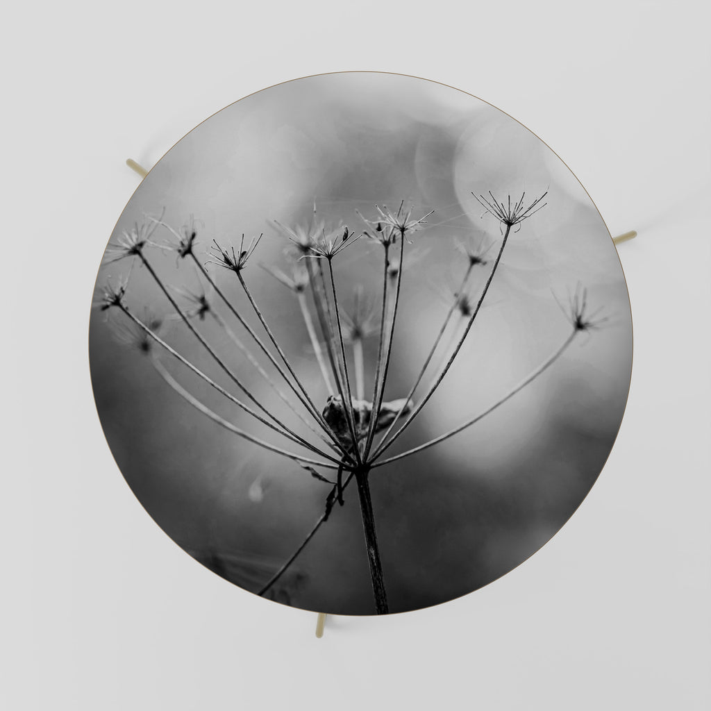 MINIMALIST BLOOM Coffee Table 69