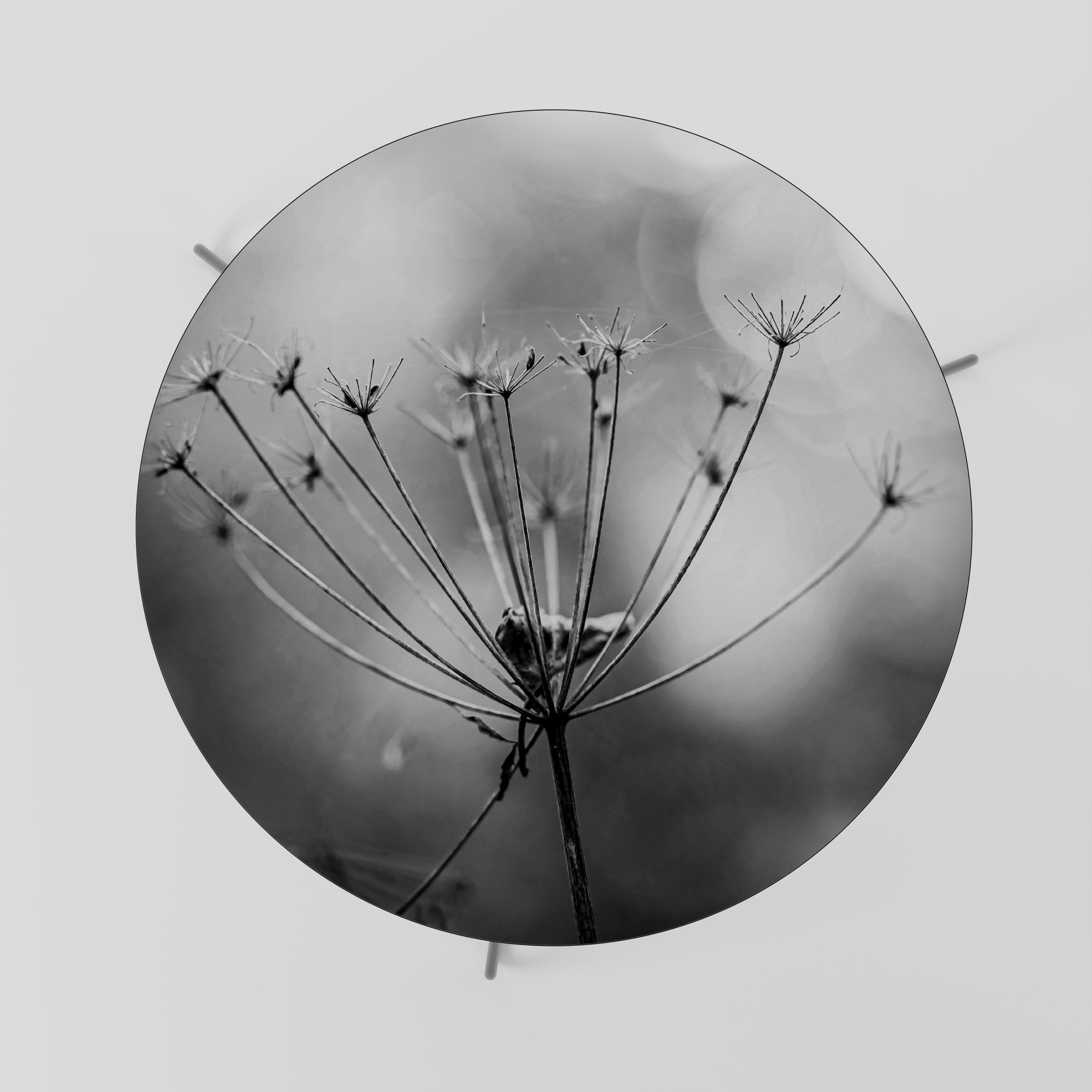 MINIMALIST BLOOM Coffee Table 69