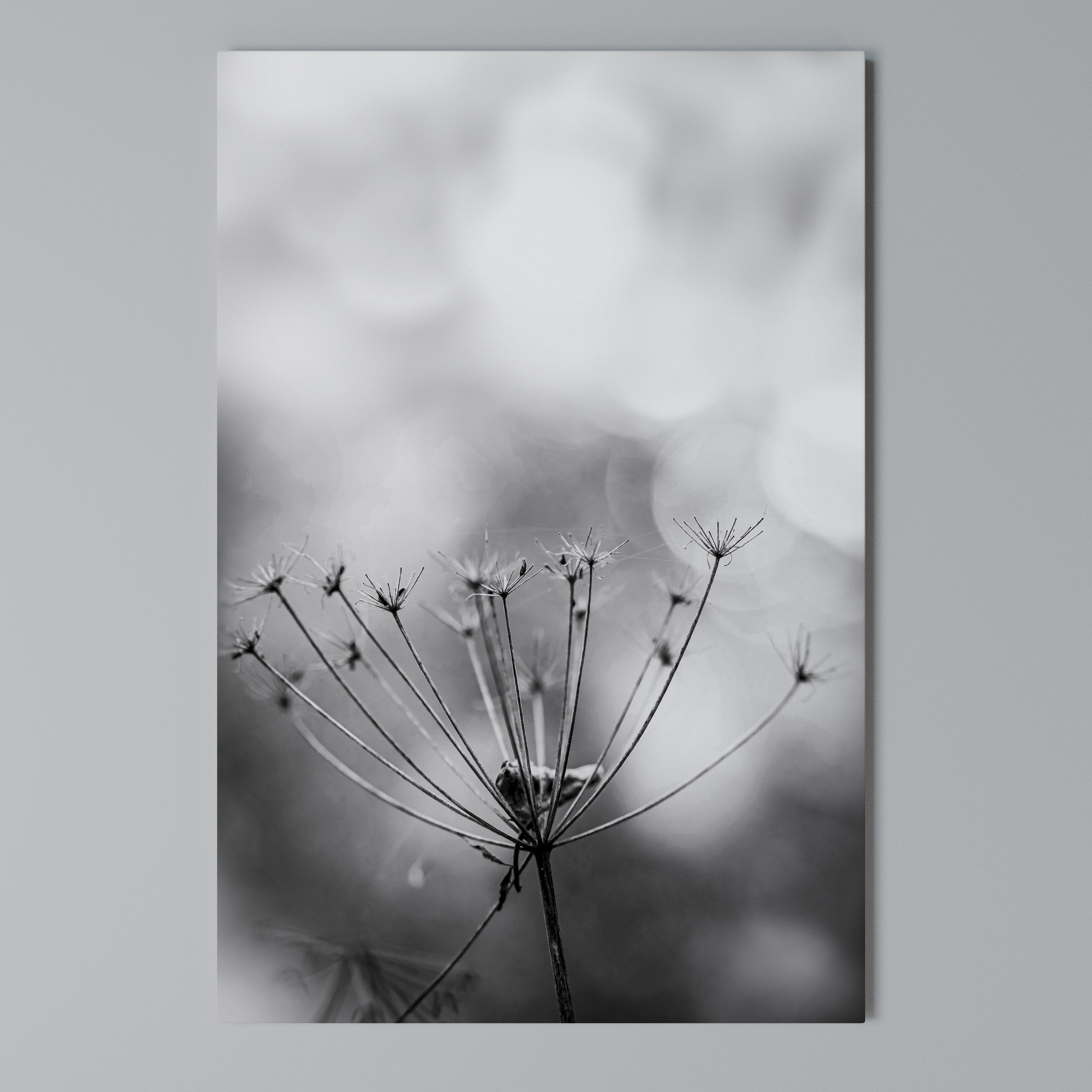 MINIMALIST BLOOM Quadro em tela vertical