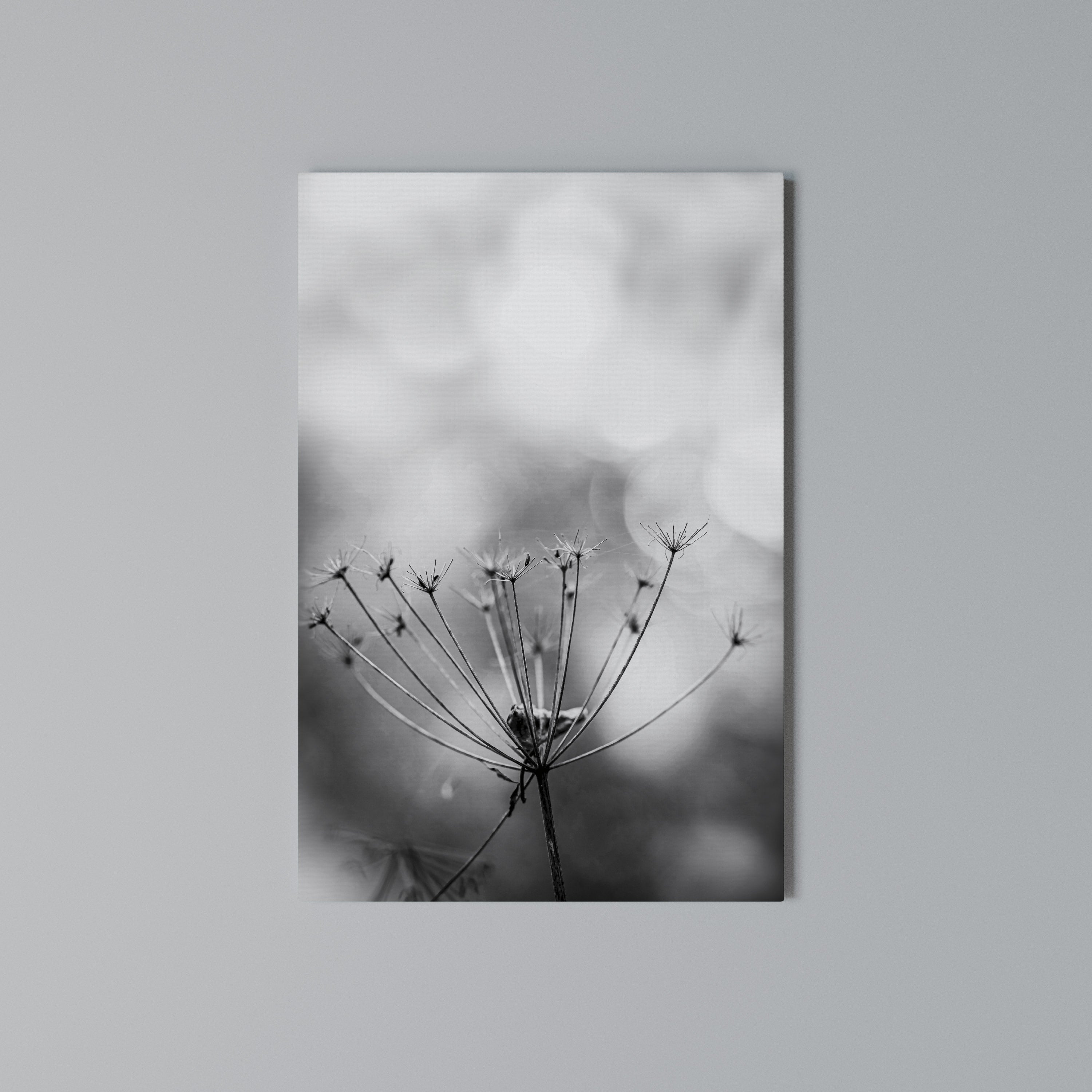 MINIMALIST BLOOM Quadro em tela vertical