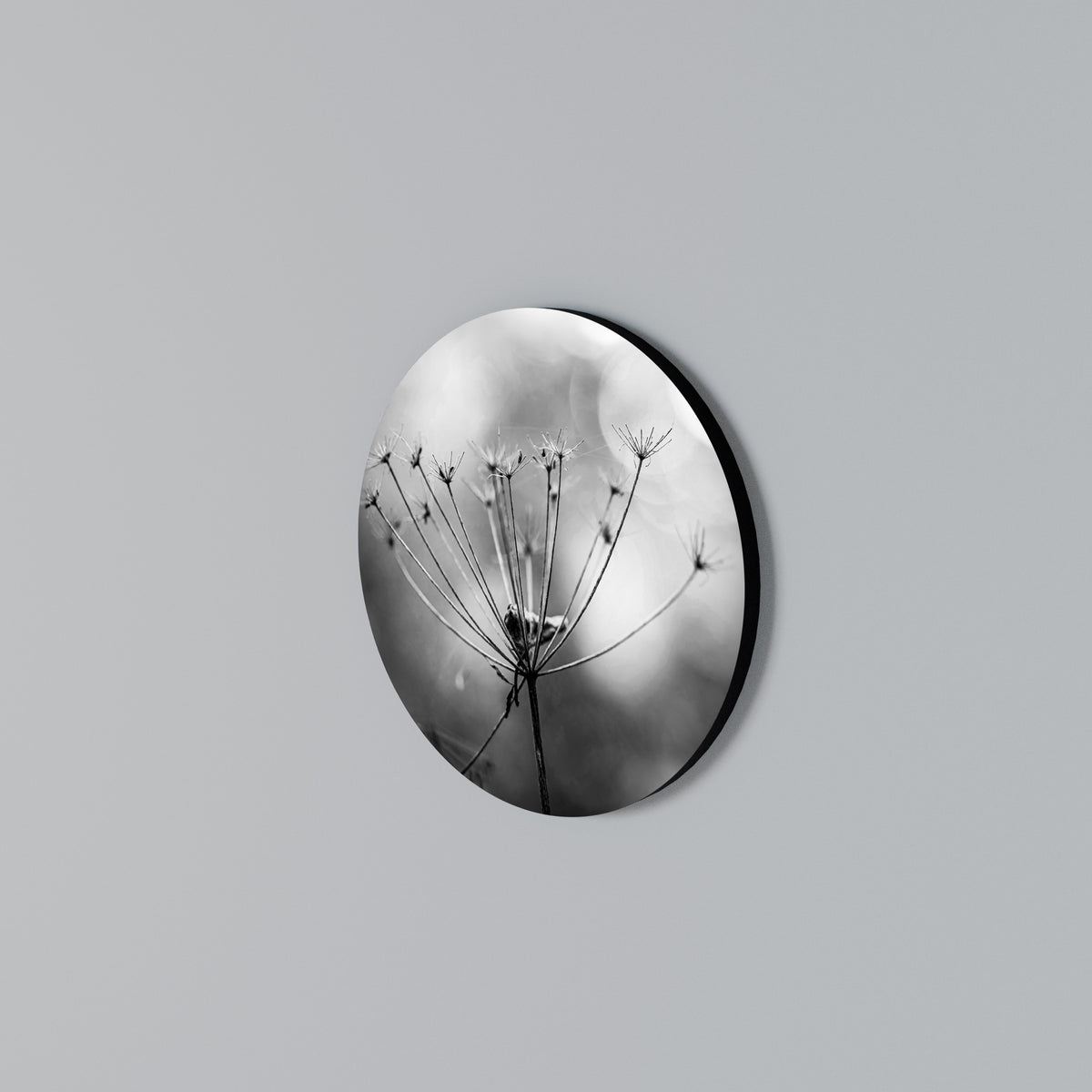 MINIMALIST BLOOM Arte de Parede Redonda