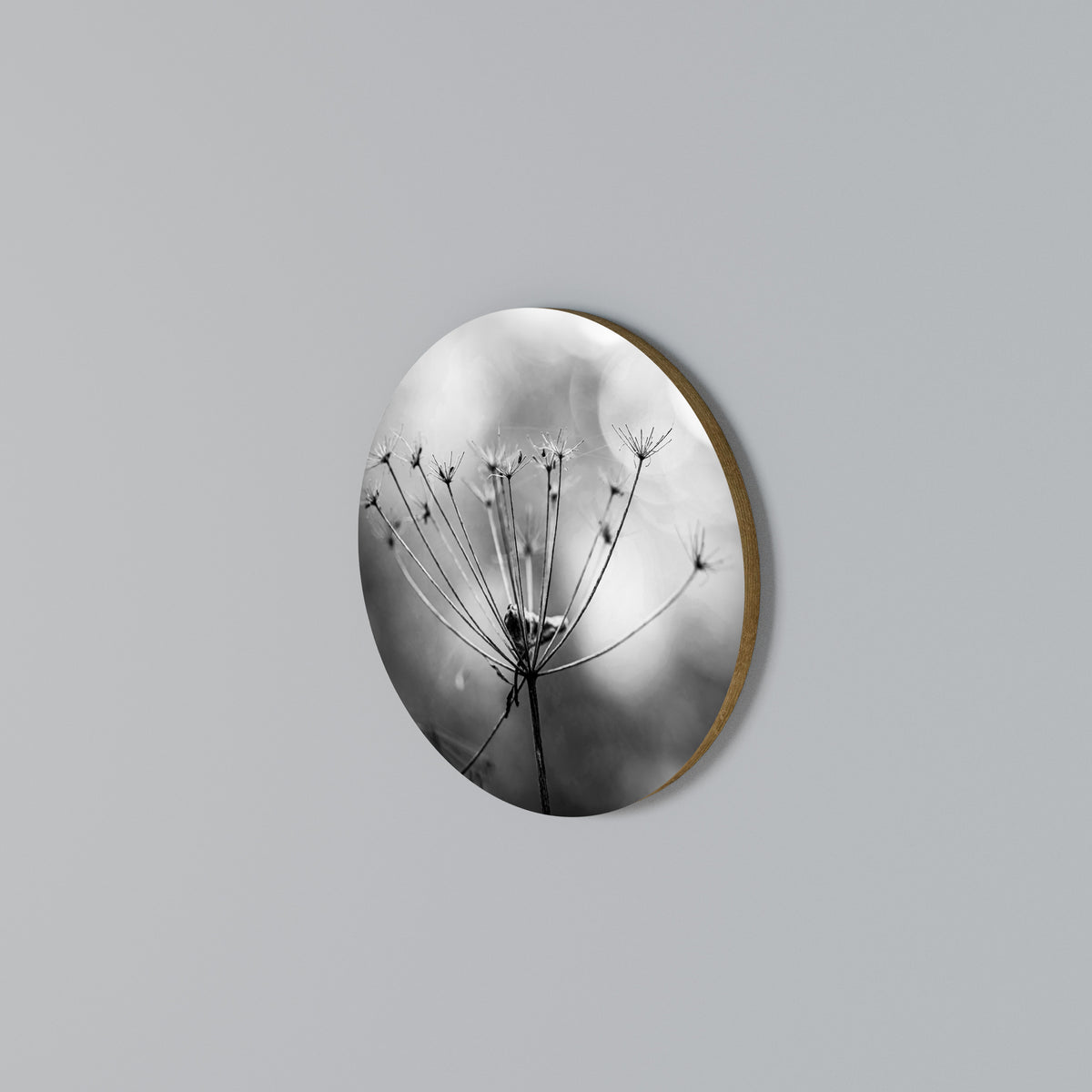 MINIMALIST BLOOM Arte de Parede Redonda