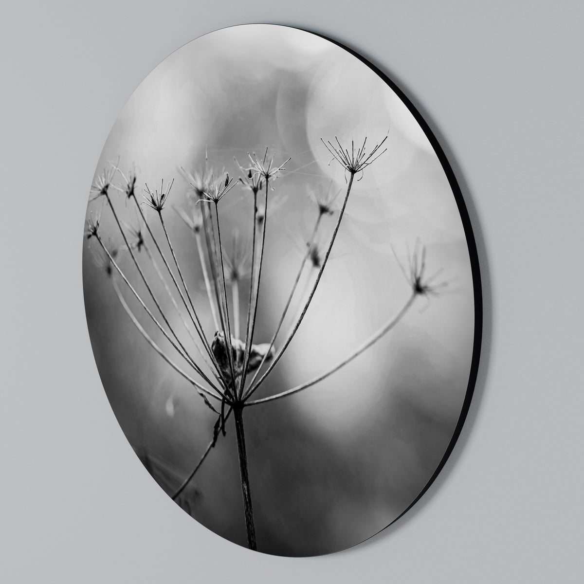 MINIMALIST BLOOM Arte de Parede Redonda