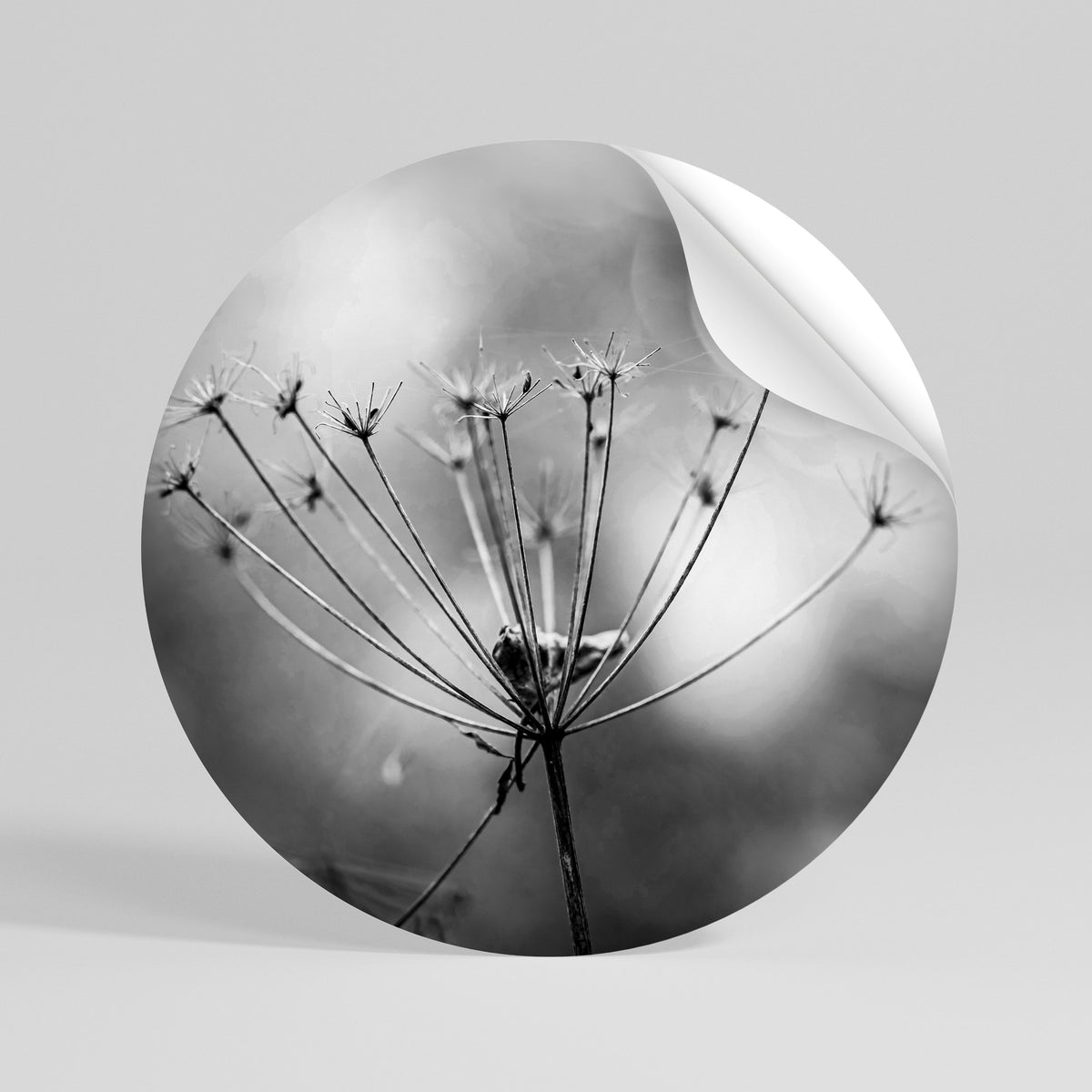 MINIMALIST BLOOM Autocolante Redondo Removível