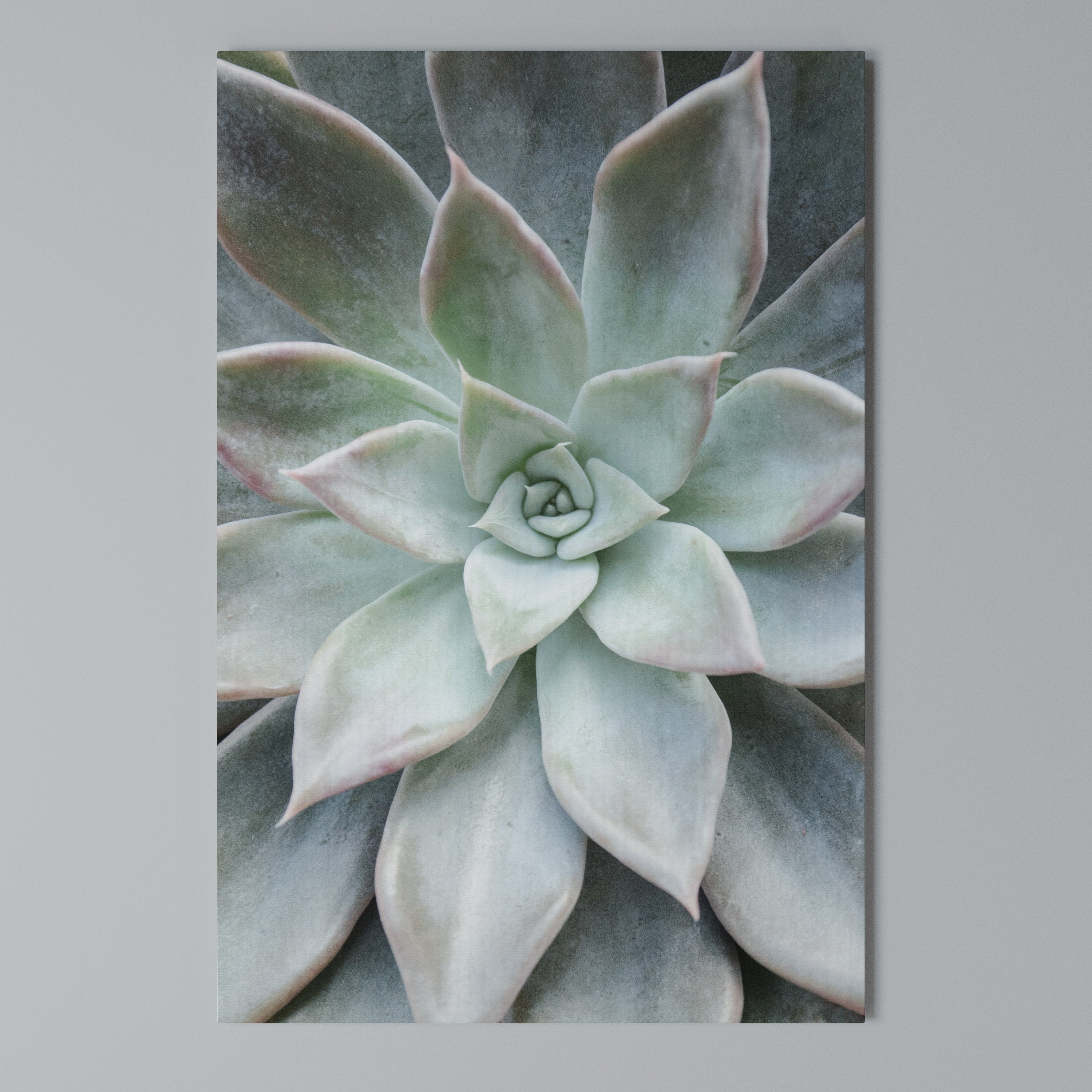 GEOMETRIC GARDEN MAGIC Quadro em tela vertical
