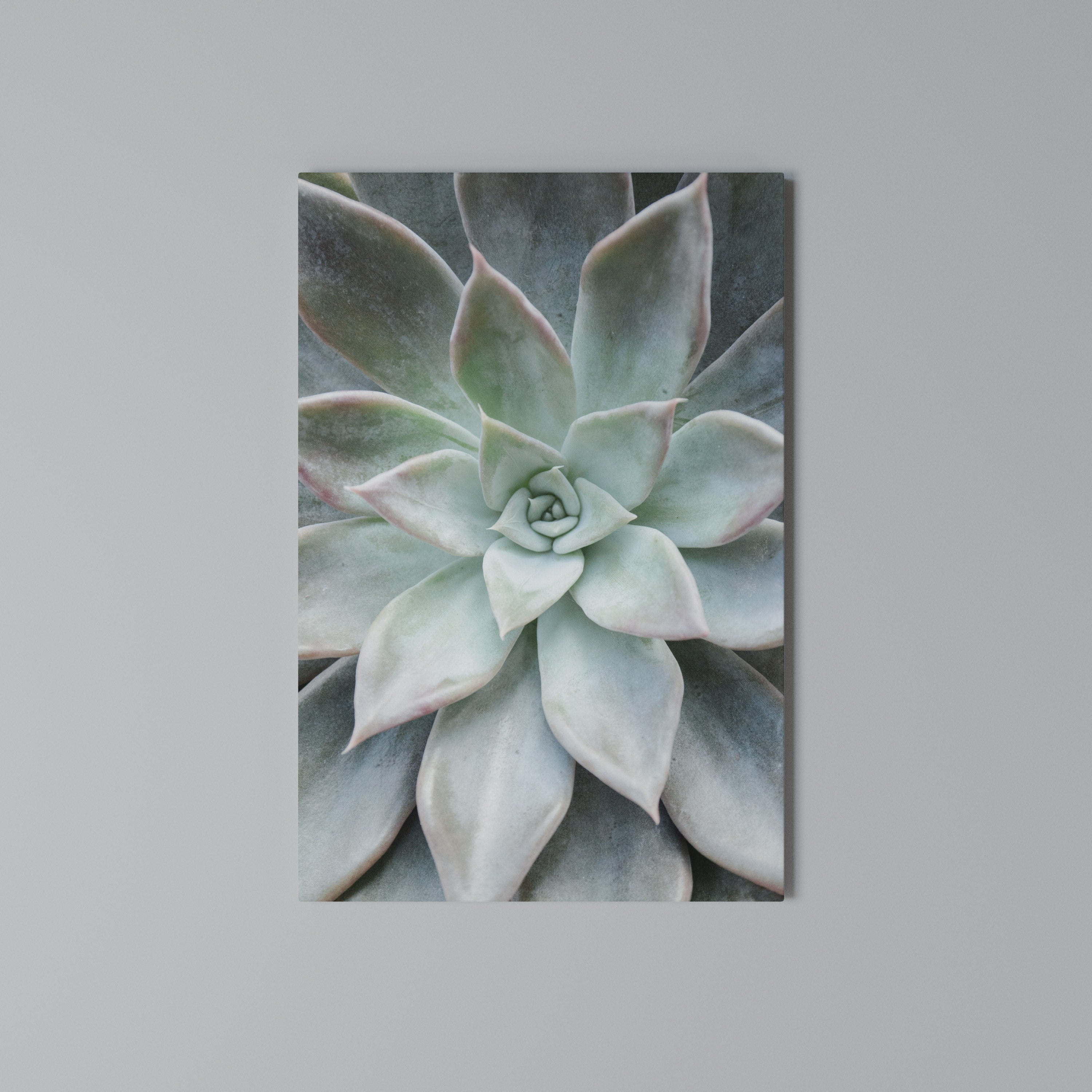 GEOMETRIC GARDEN MAGIC Quadro em tela vertical