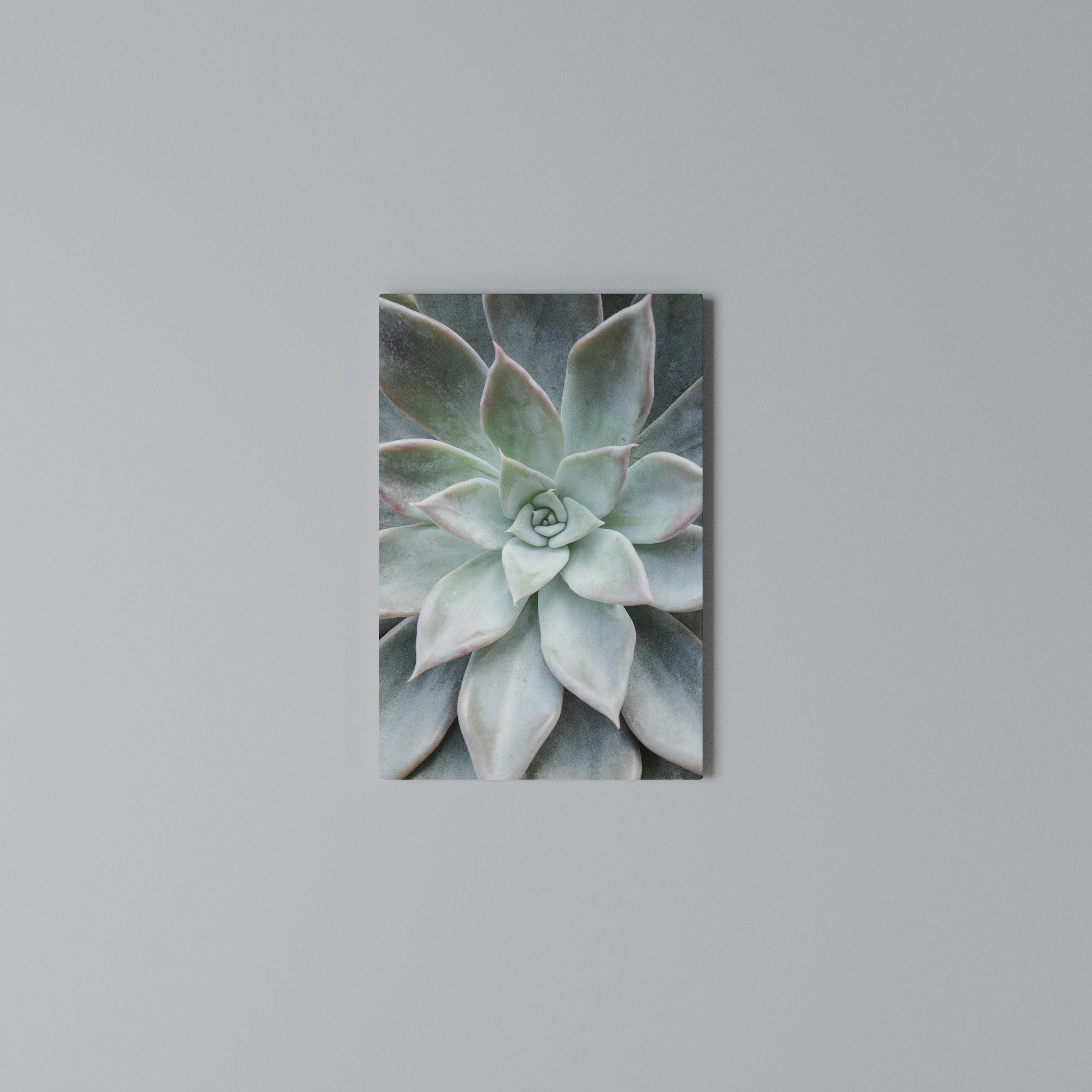 GEOMETRIC GARDEN MAGIC Quadro em tela vertical
