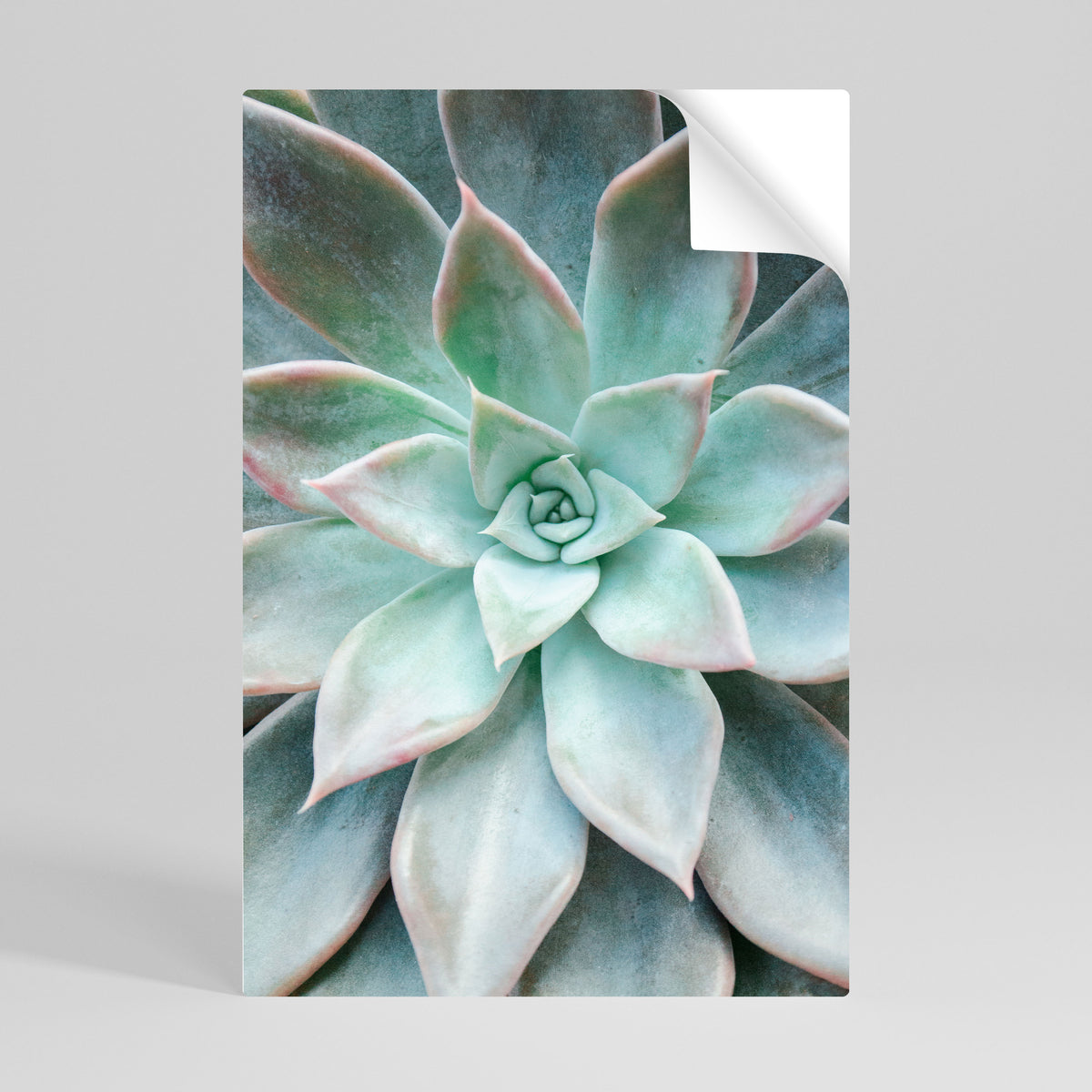 GEOMETRIC GARDEN MAGIC Póster Autocolante Vertical