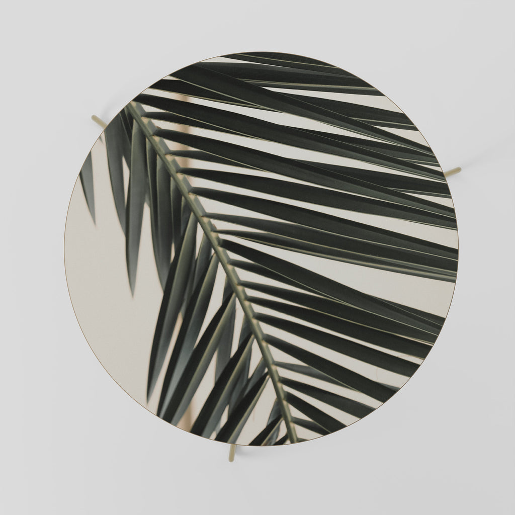 PALM SYMPHONY Coffee Table 69