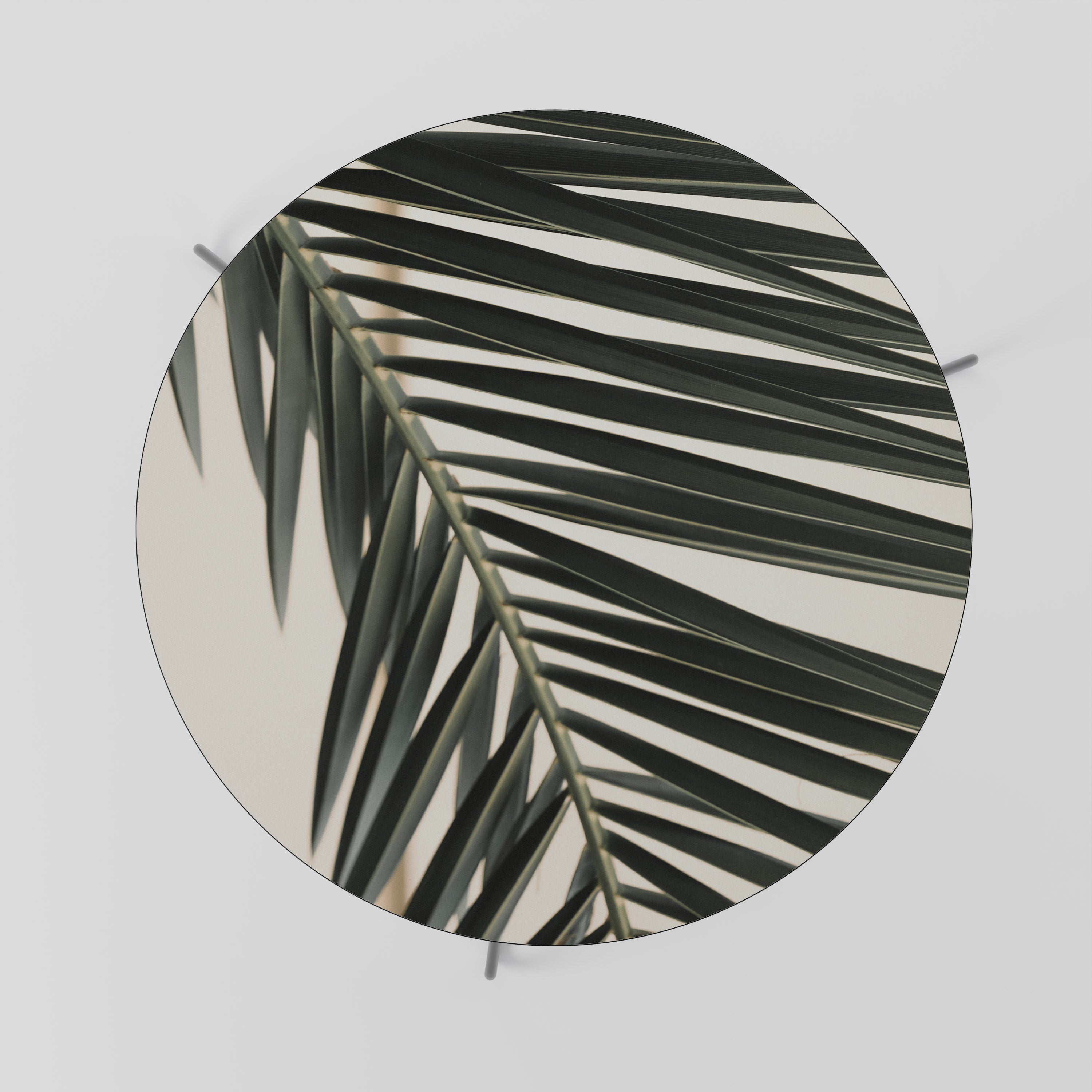 PALM SYMPHONY Coffee Table 69