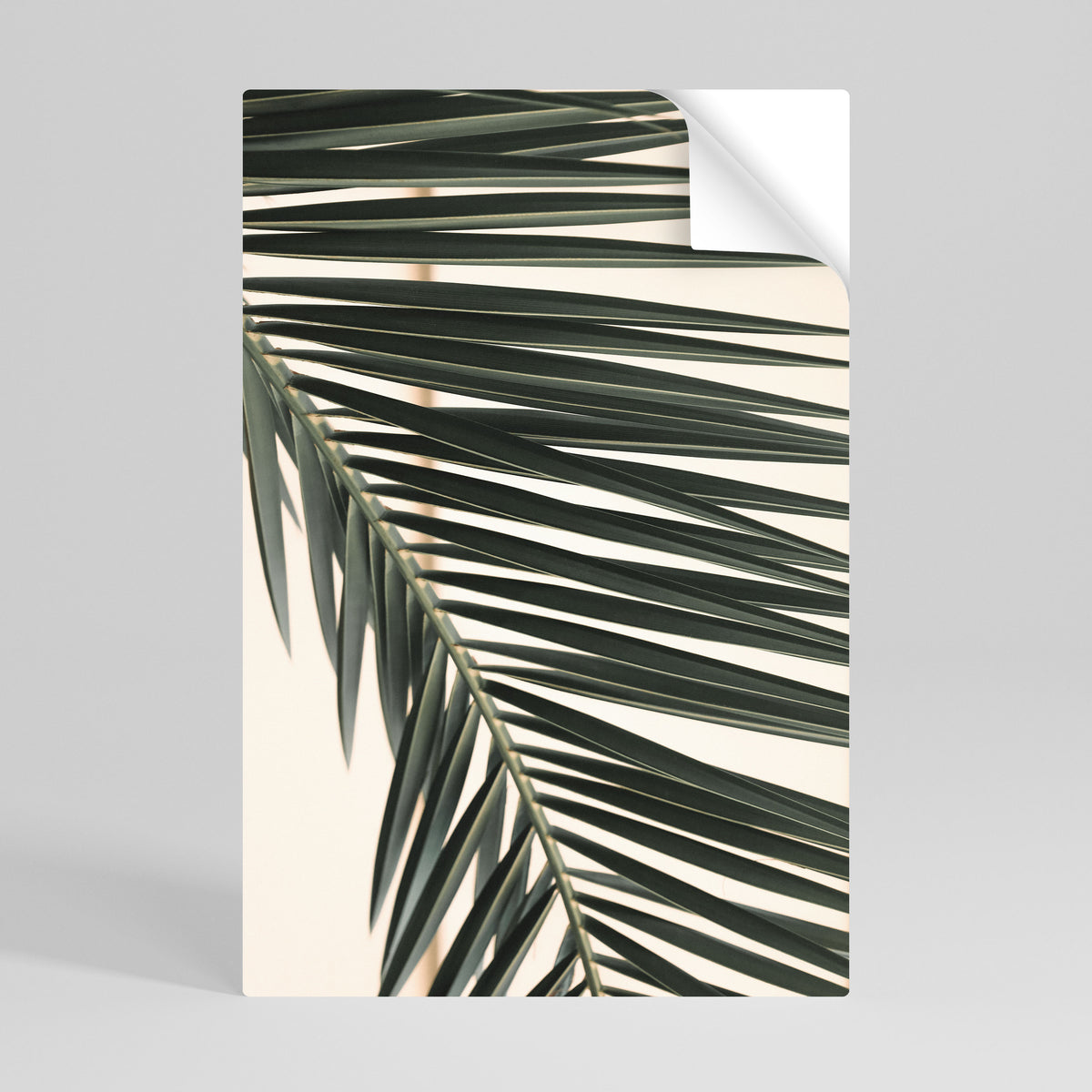 PALM SYMPHONY Póster Autocolante Vertical