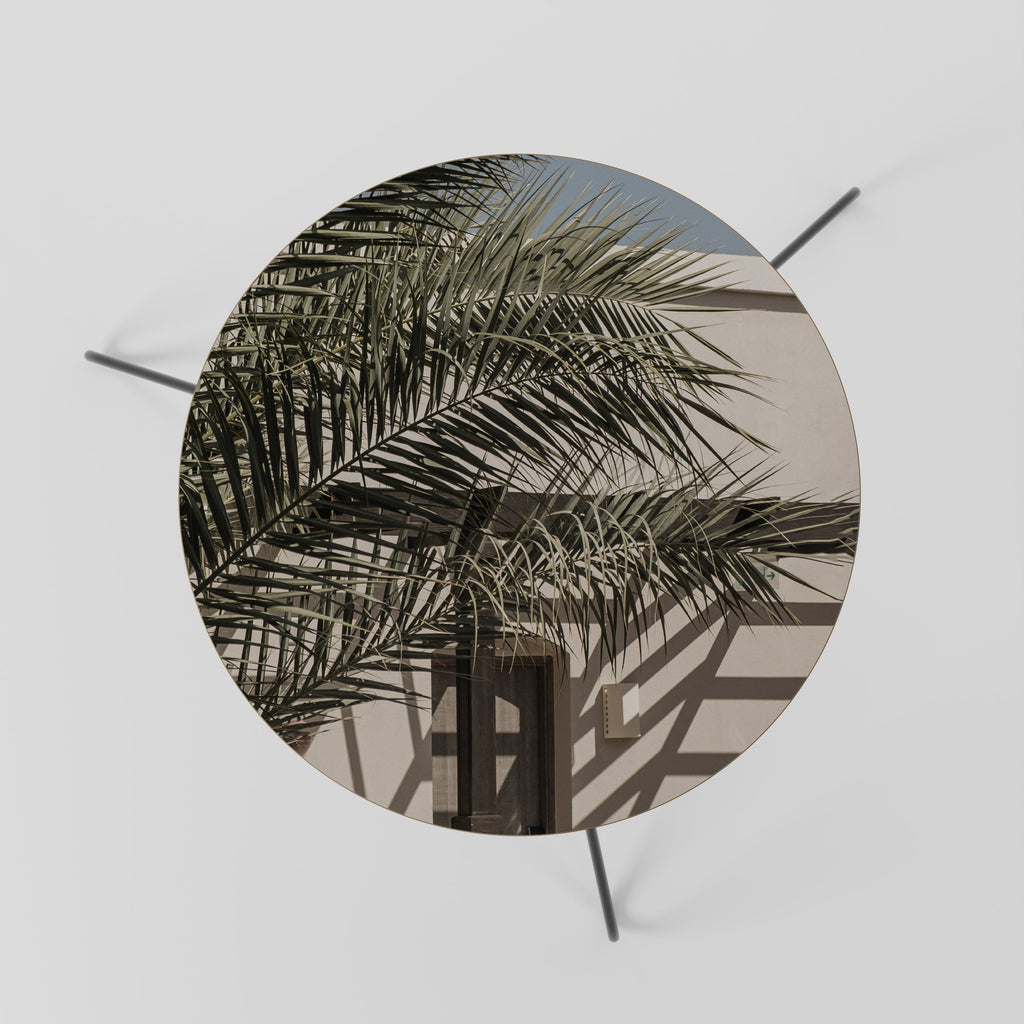 PALM SHADOW DANCE Mesa de Centro 60