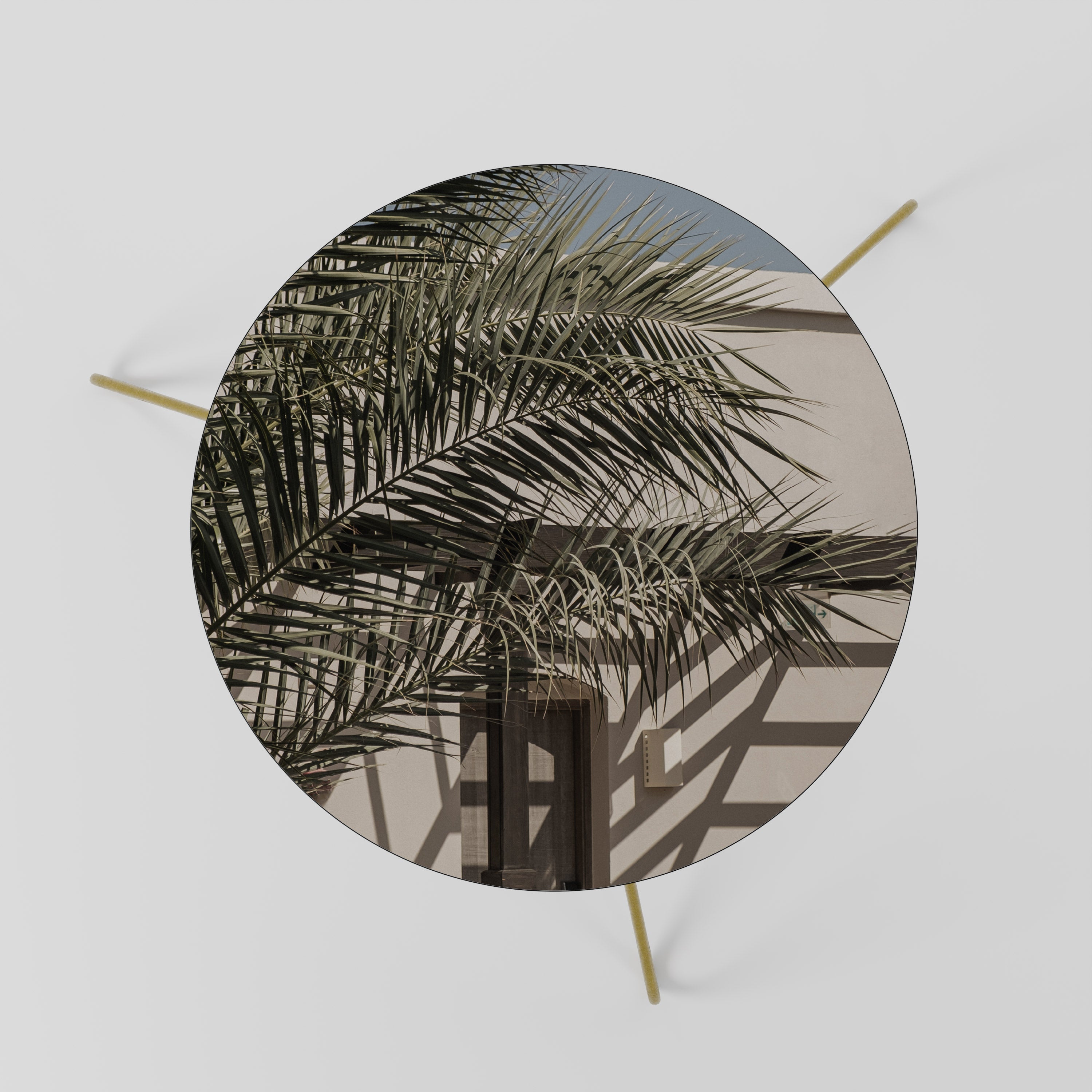 PALM SHADOW DANCE Mesa de Centro 60