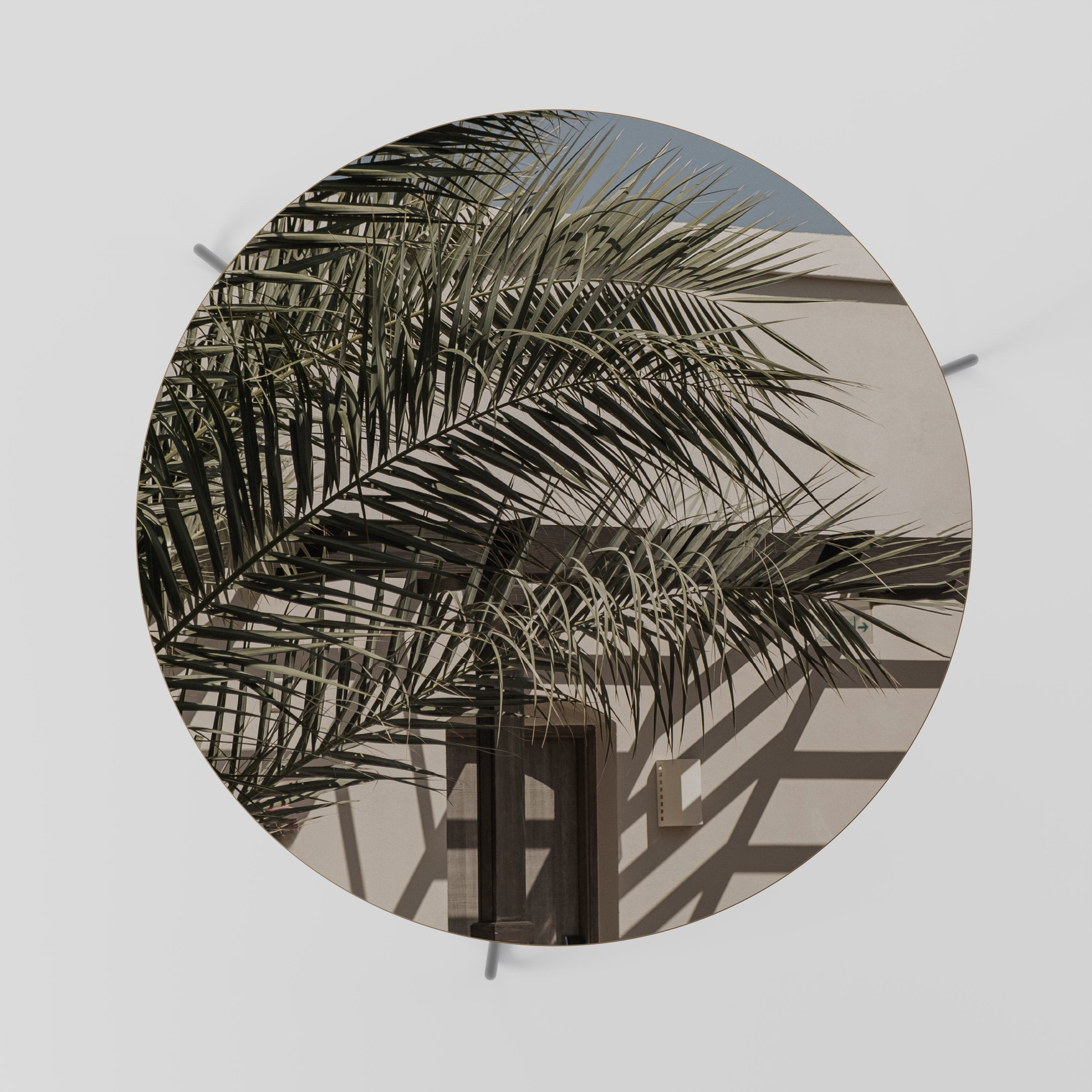 PALM SHADOW DANCE Coffee Table 69