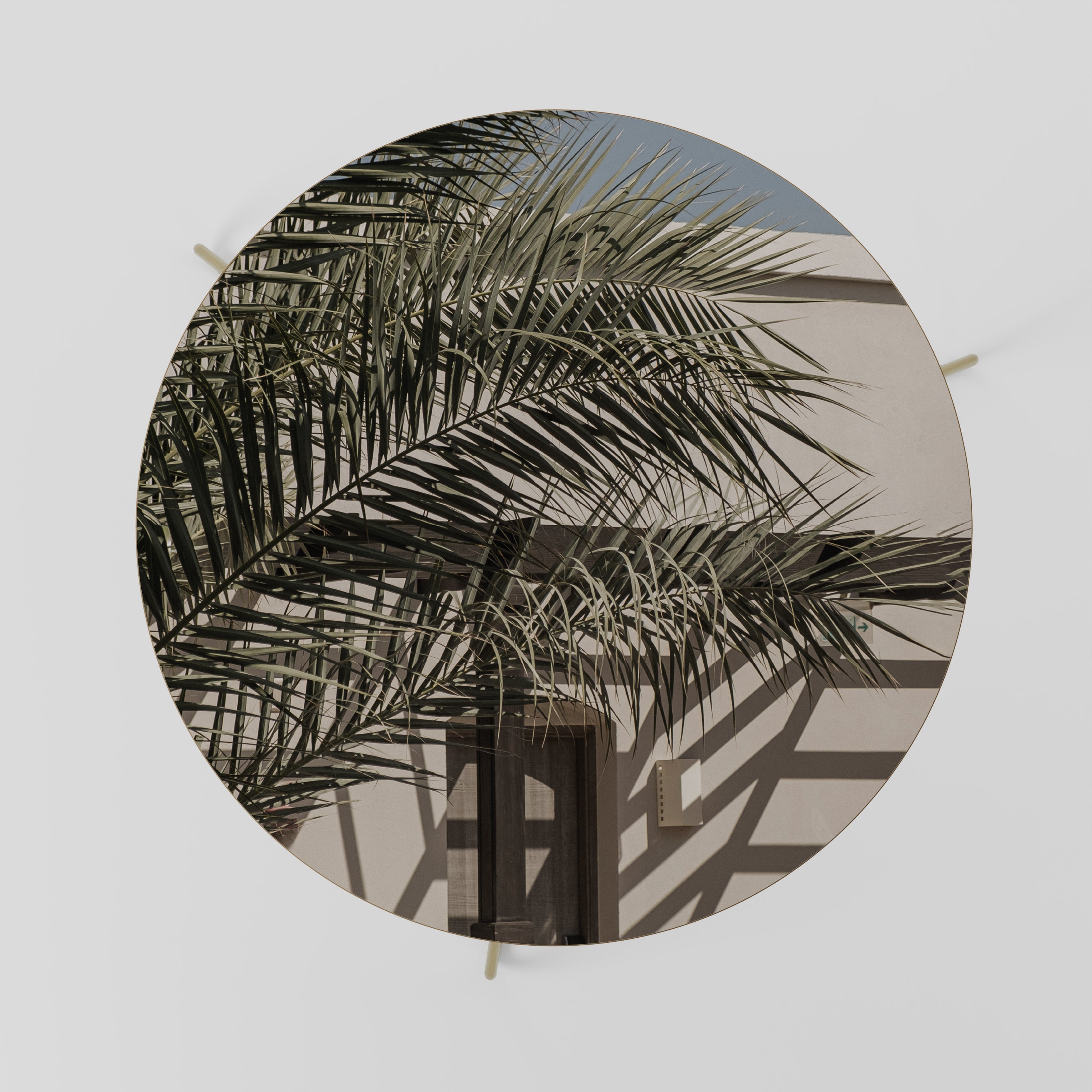 PALM SHADOW DANCE Coffee Table 69