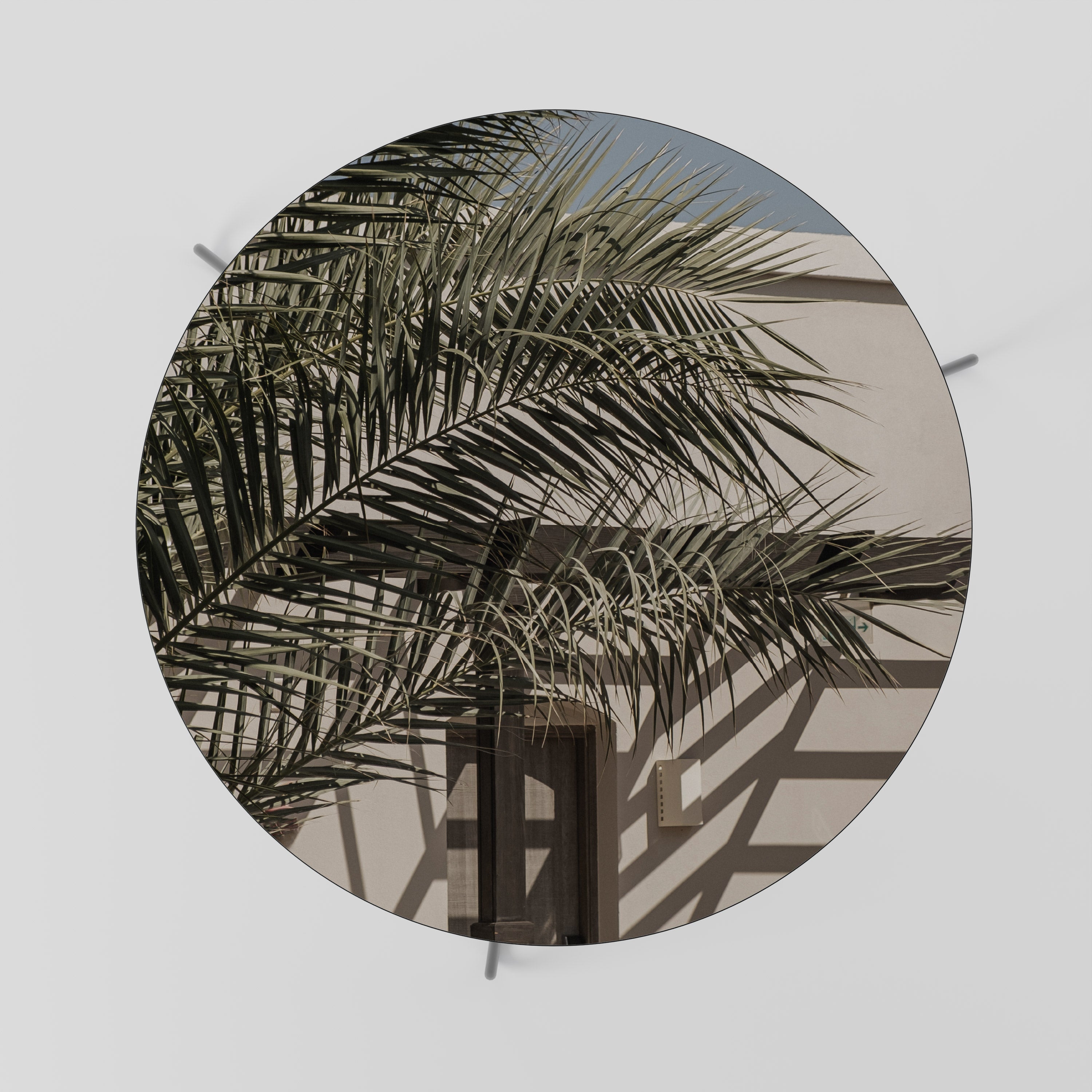 PALM SHADOW DANCE Coffee Table 69