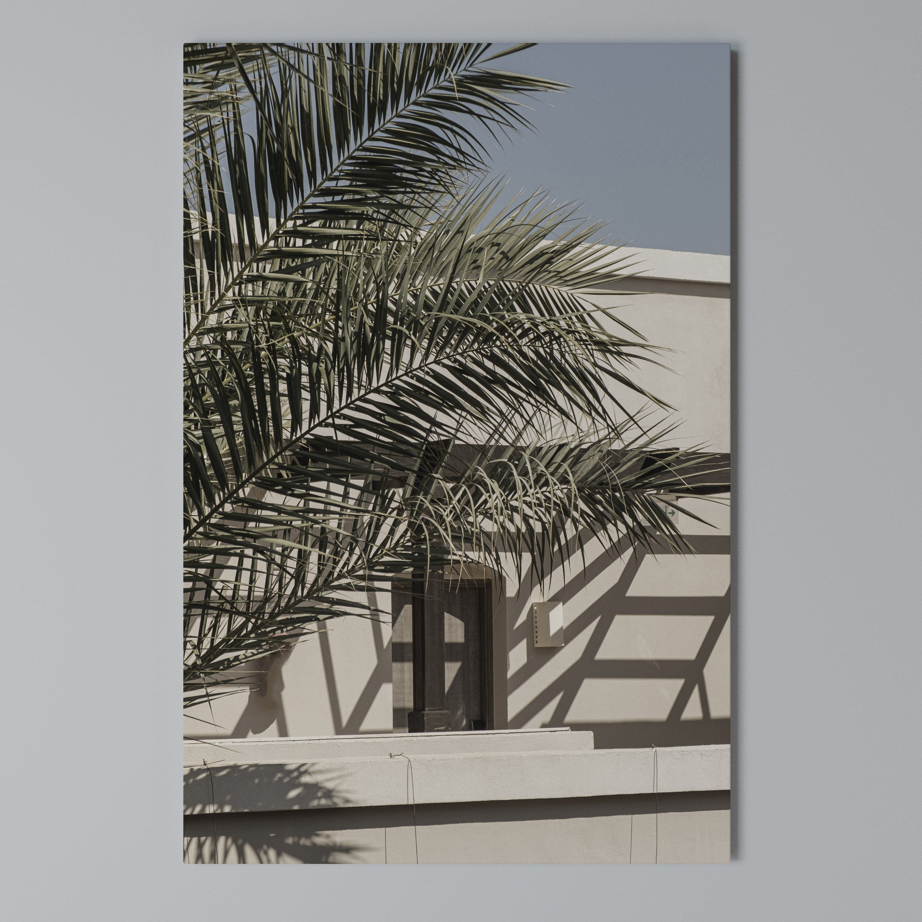 PALM SHADOW DANCE Quadro em tela vertical