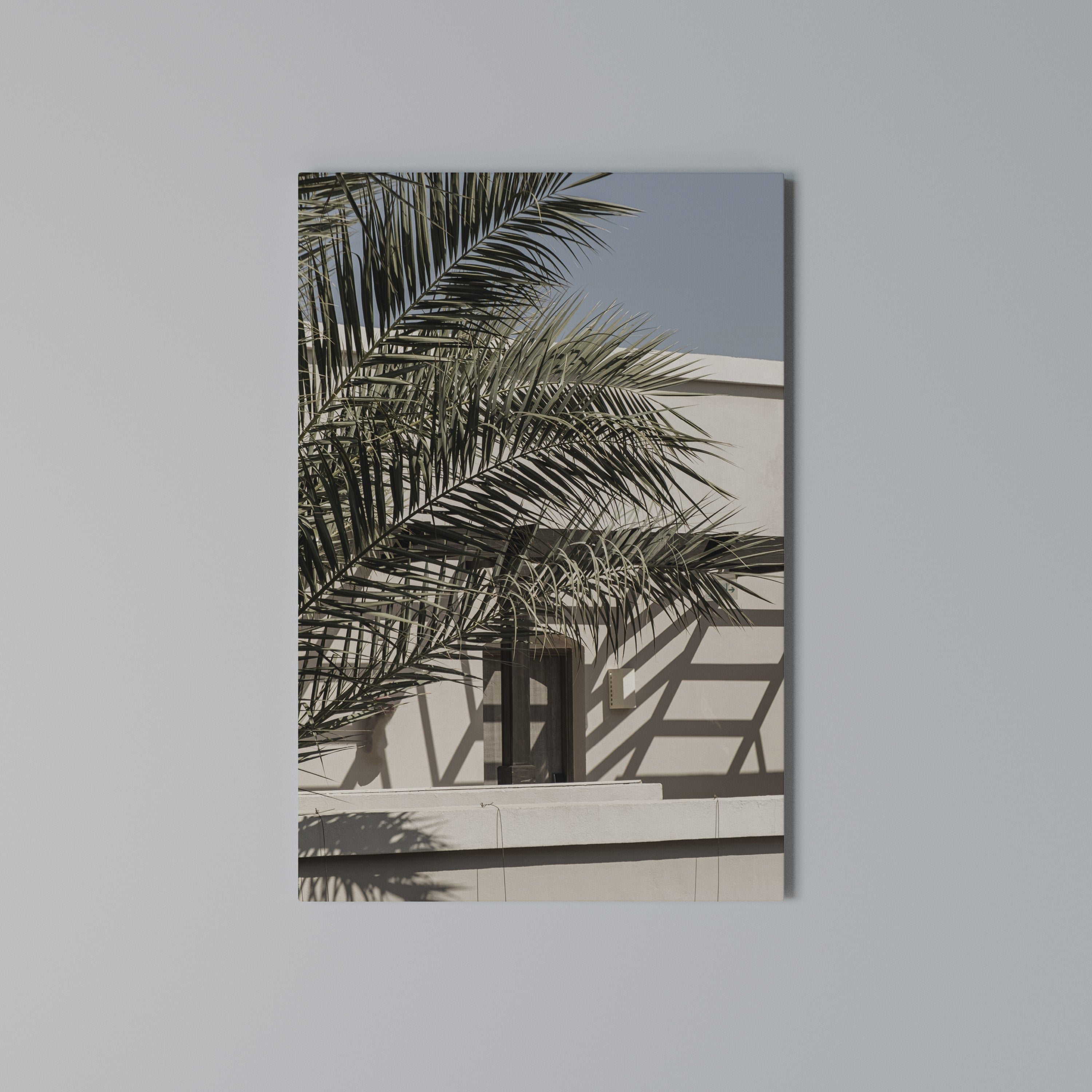 PALM SHADOW DANCE Quadro em tela vertical