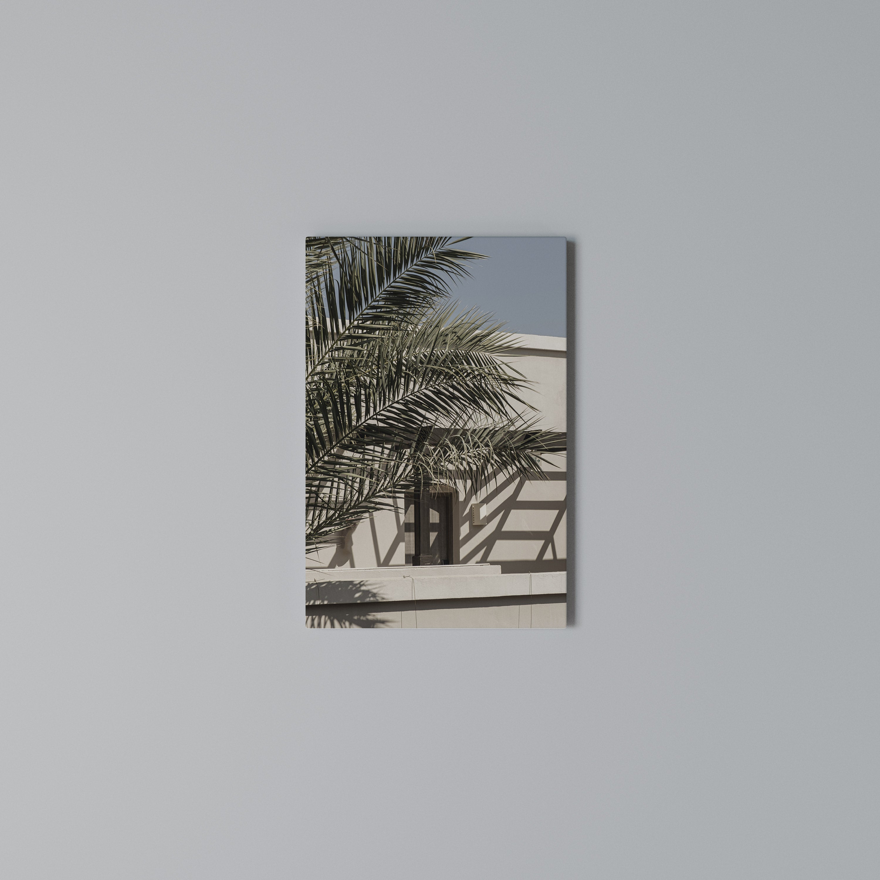 PALM SHADOW DANCE Quadro em tela vertical