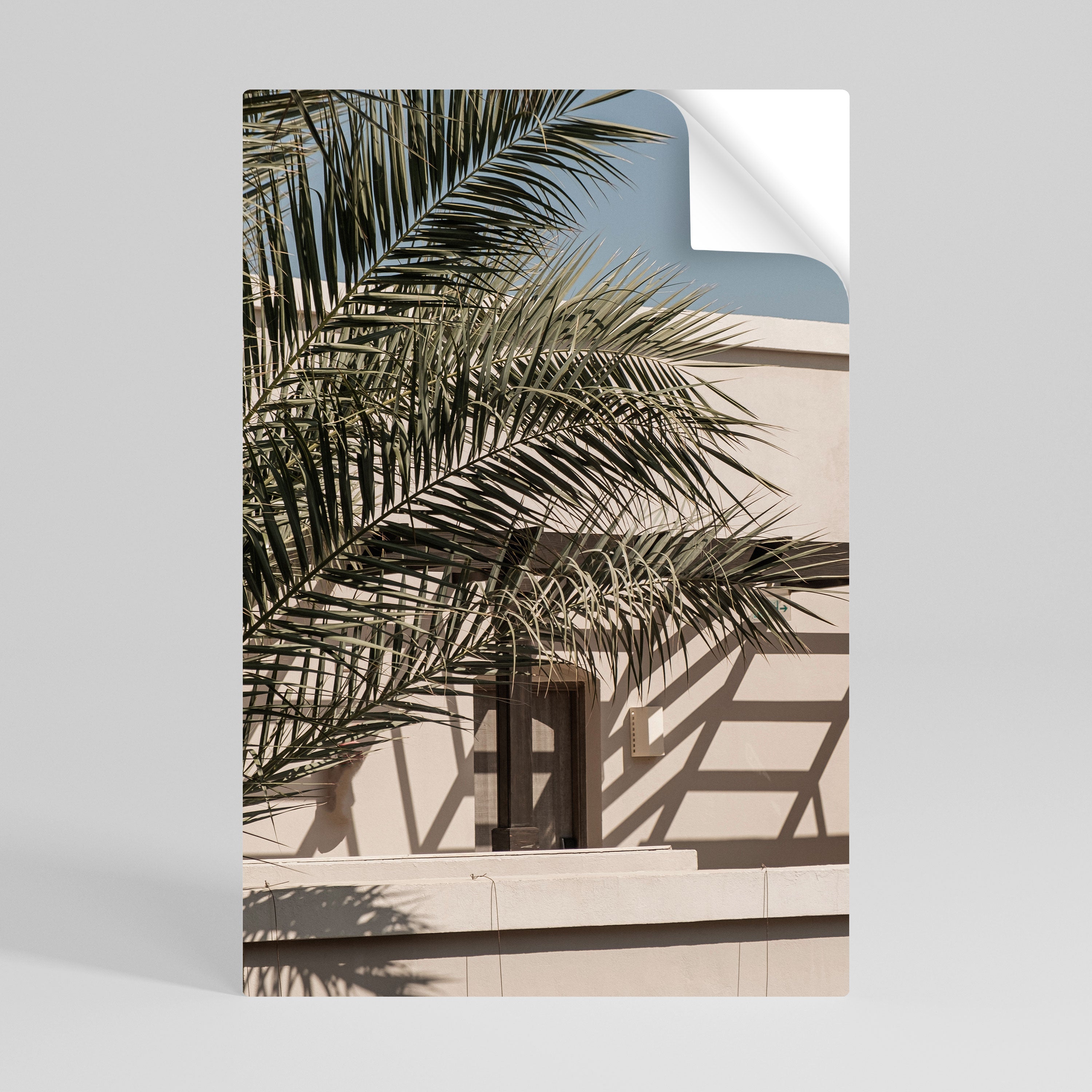 PALM SHADOW DANCE Poster Vertical Autocolante