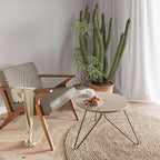 BEACH BOUND PATHWAYS Mesa de Centro 60