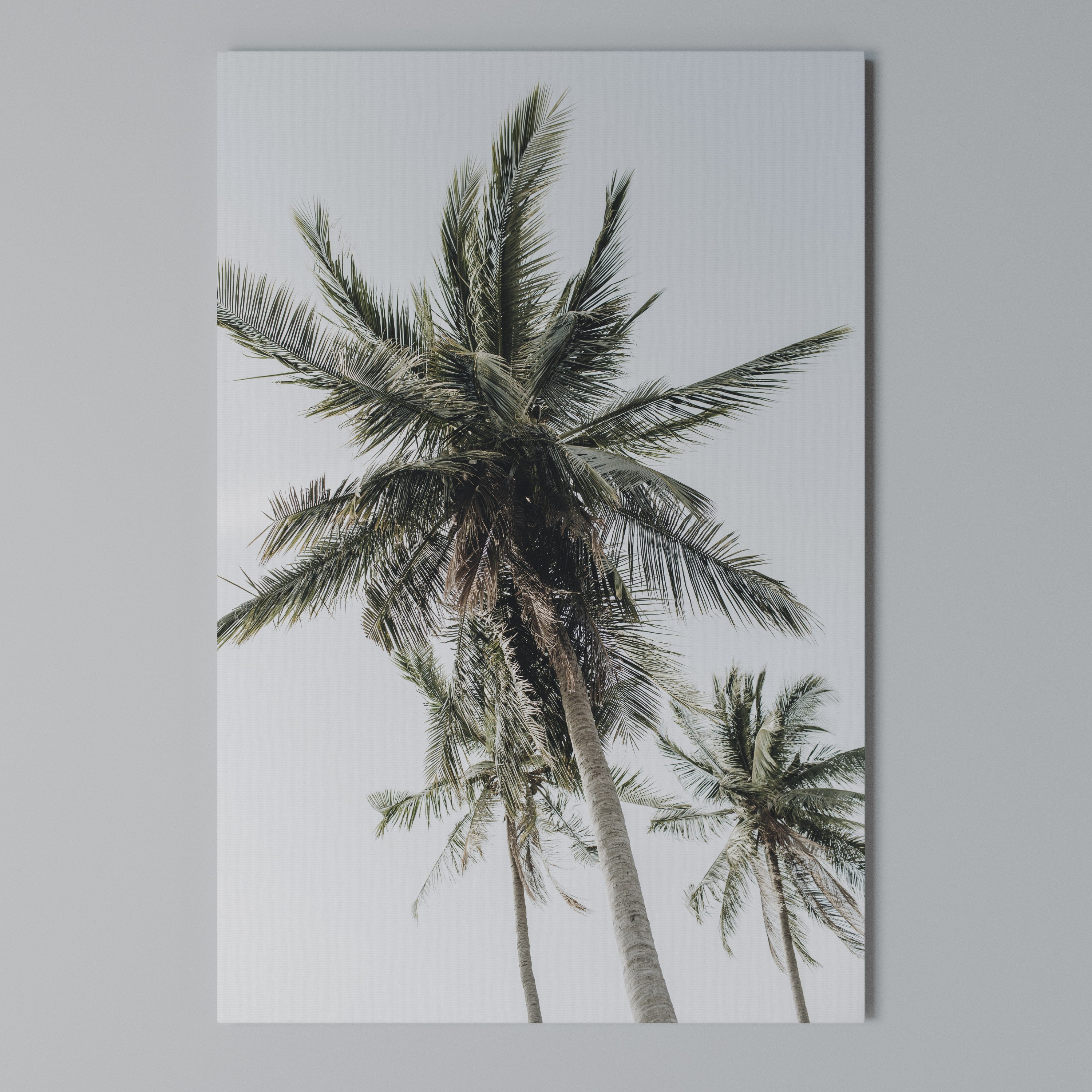 PALM PARADISE SIGHT Quadro em tela vertical