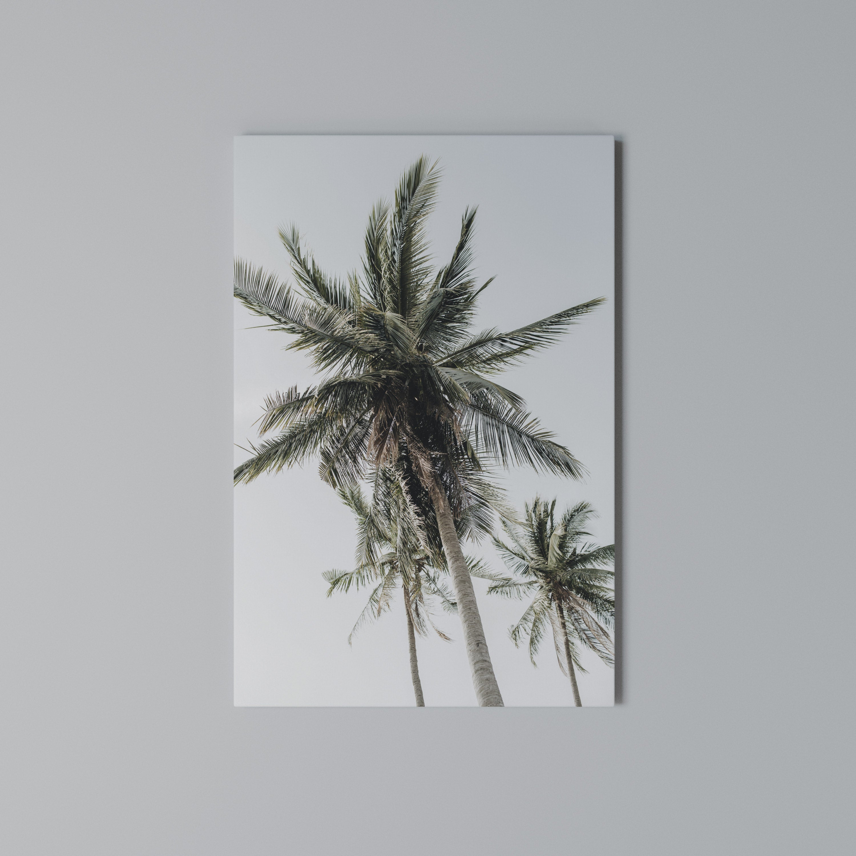PALM PARADISE SIGHT Quadro em tela vertical