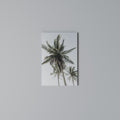 PALM PARADISE SIGHT Vertical Canvas Print