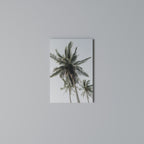 PALM PARADISE SIGHT Vertical Canvas Print