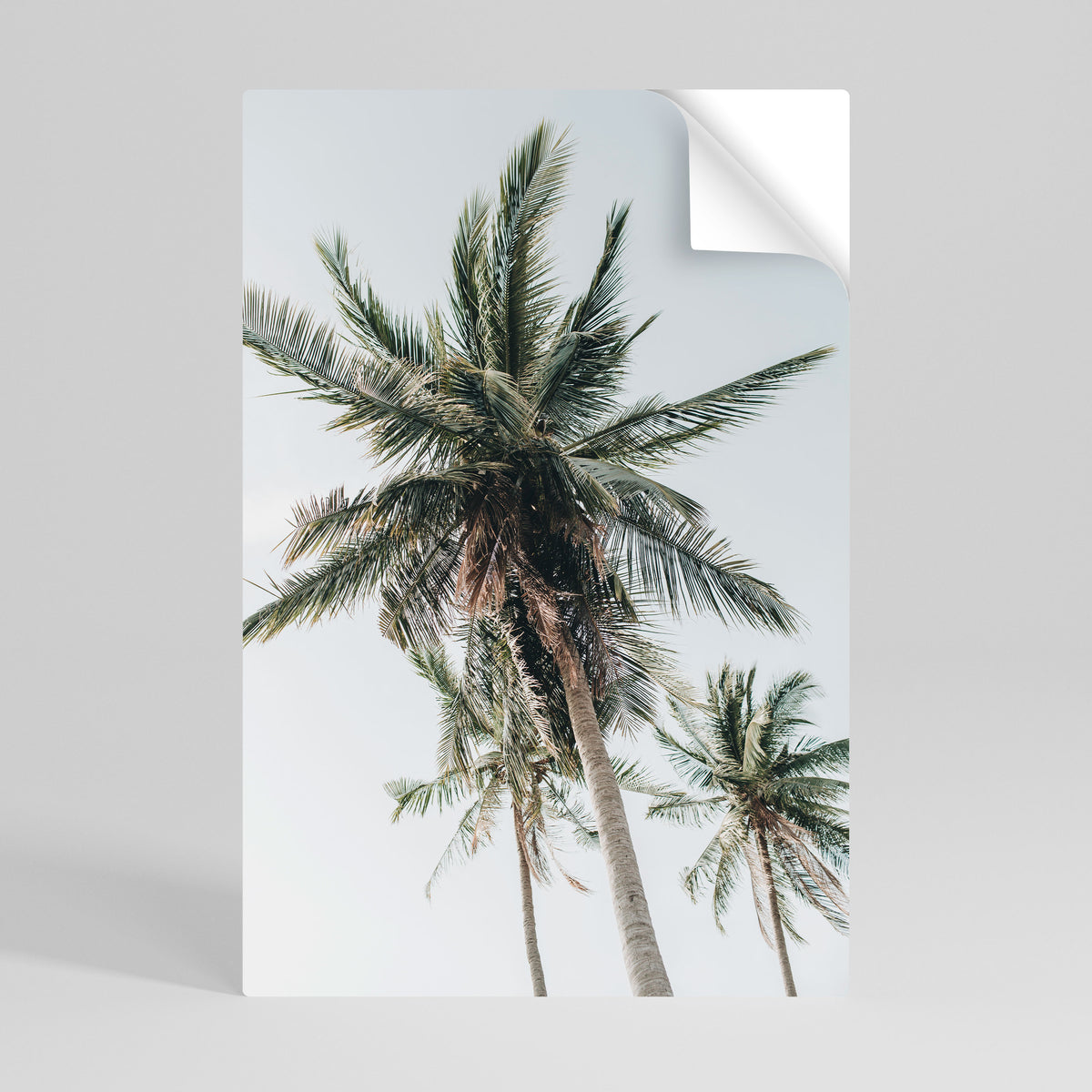 PALM PARADISE SIGHT Póster Autocolante Vertical