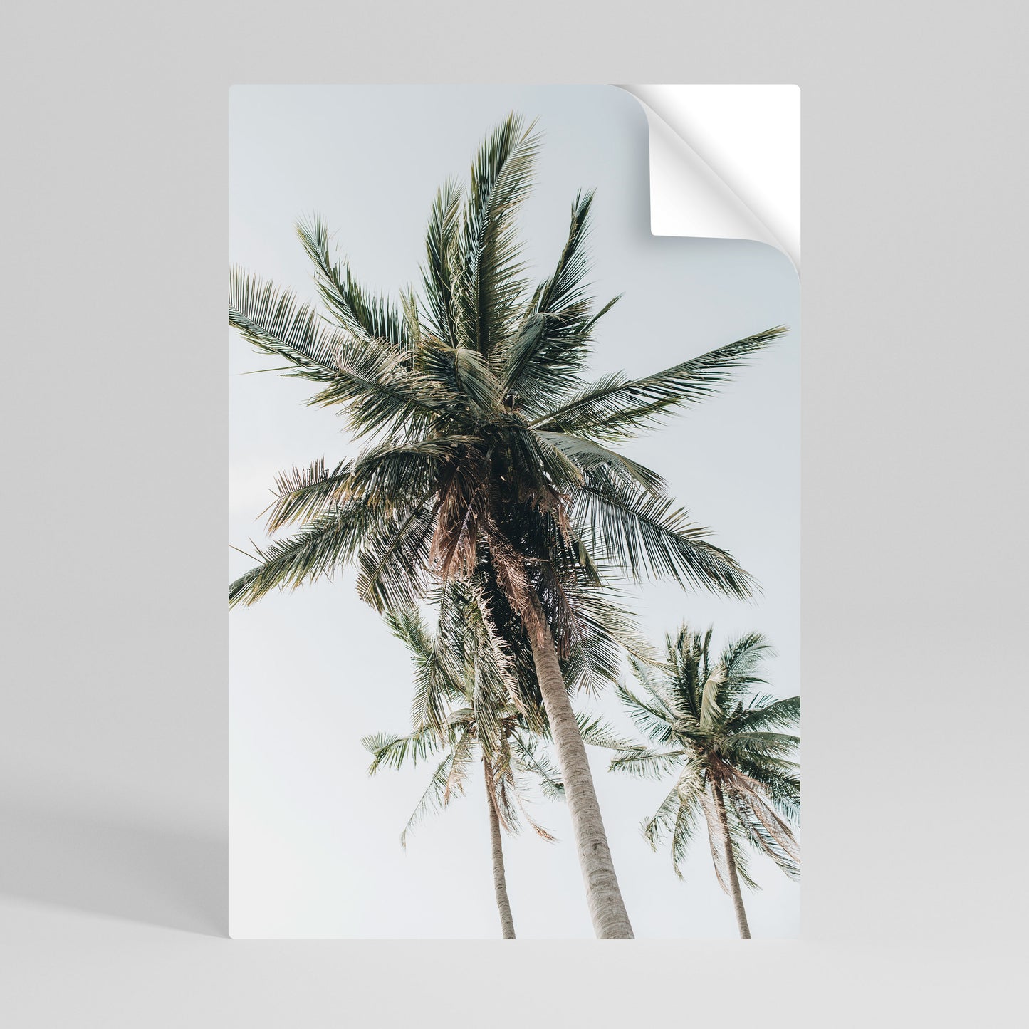 PALM PARADISE SIGHT Póster Autocolante Vertical