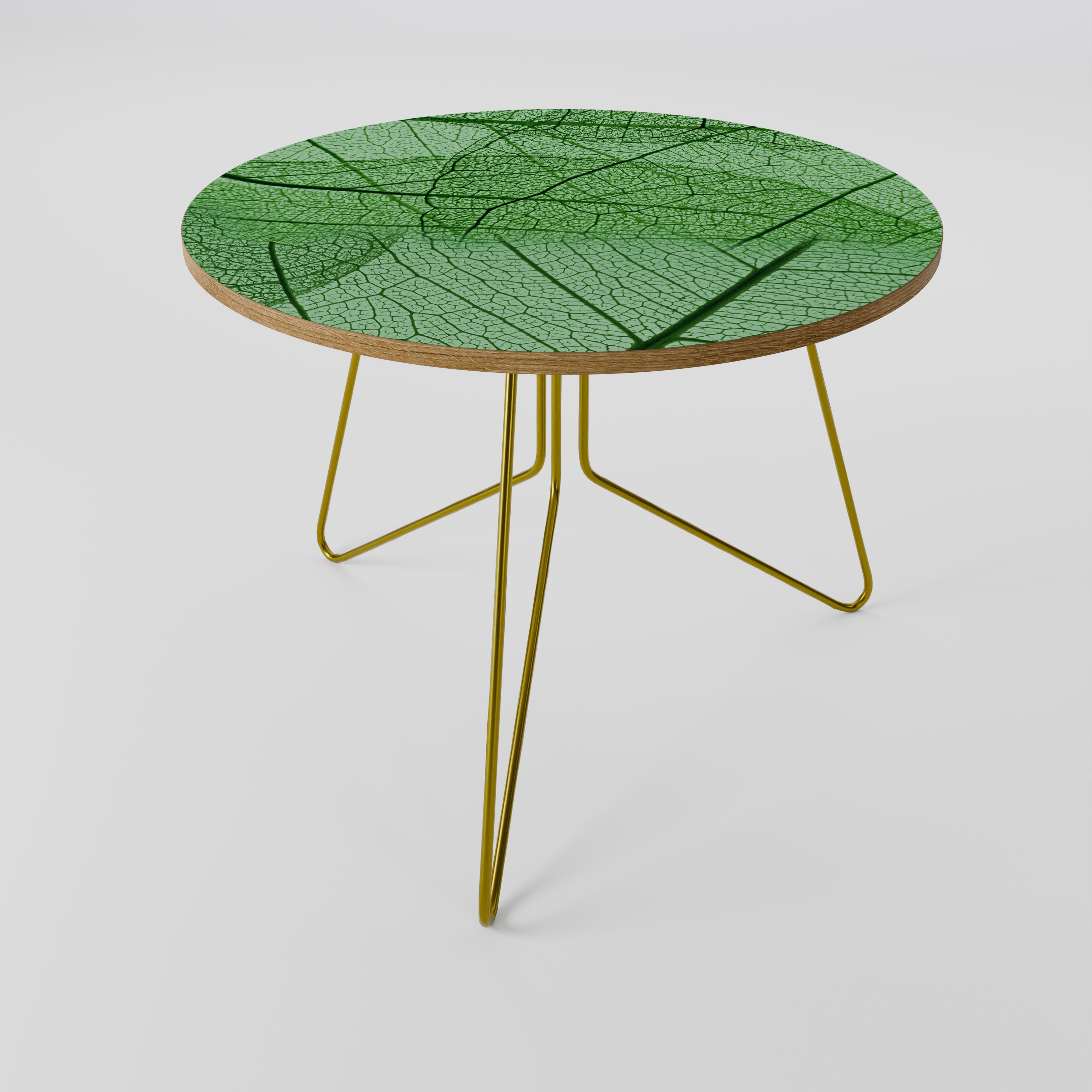 VEINS OF LIFE Coffee Table 69